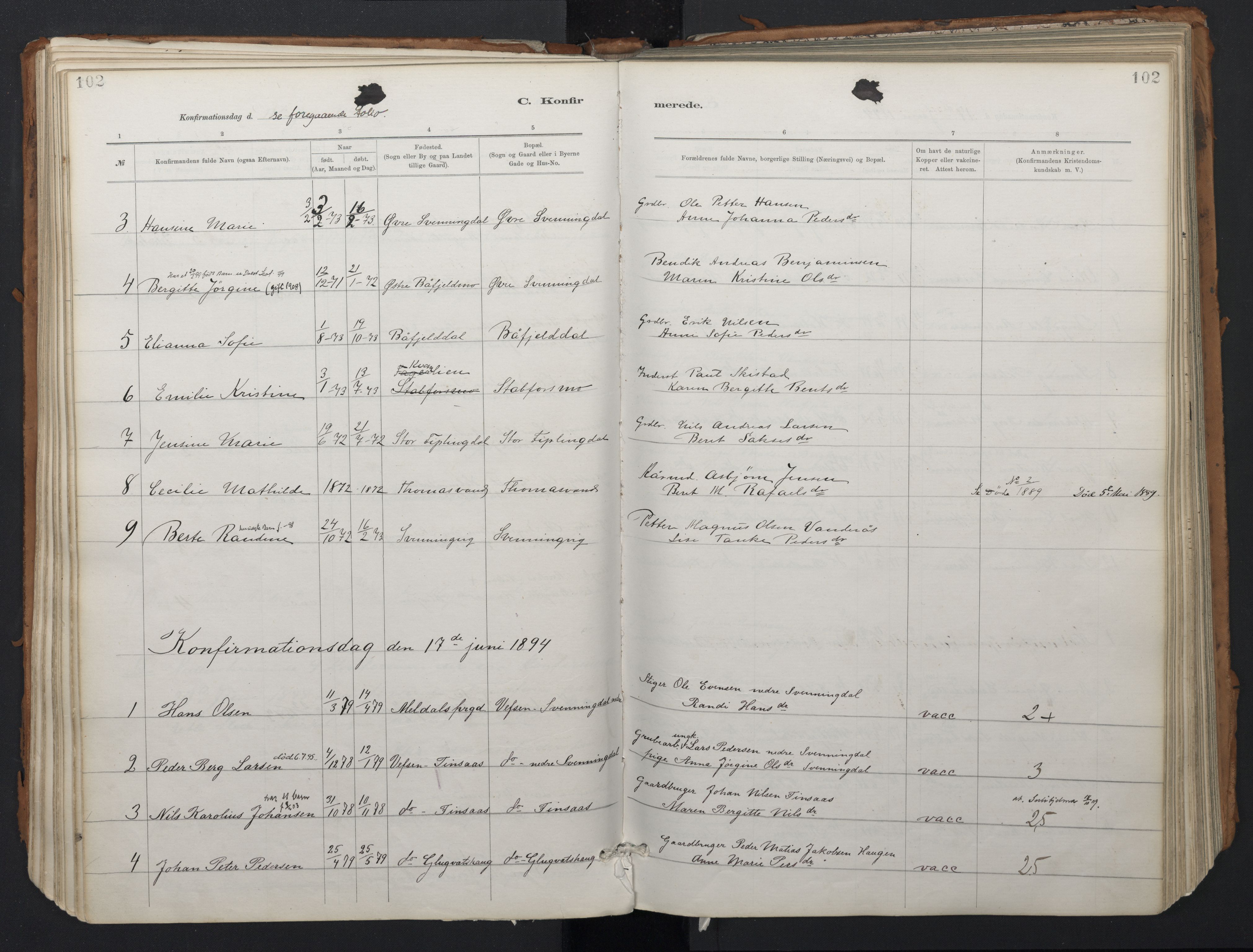 Ministerialprotokoller, klokkerbøker og fødselsregistre - Nordland, SAT/A-1459/824/L0338: Parish register (official) no. 824A01, 1880-1915, p. 102