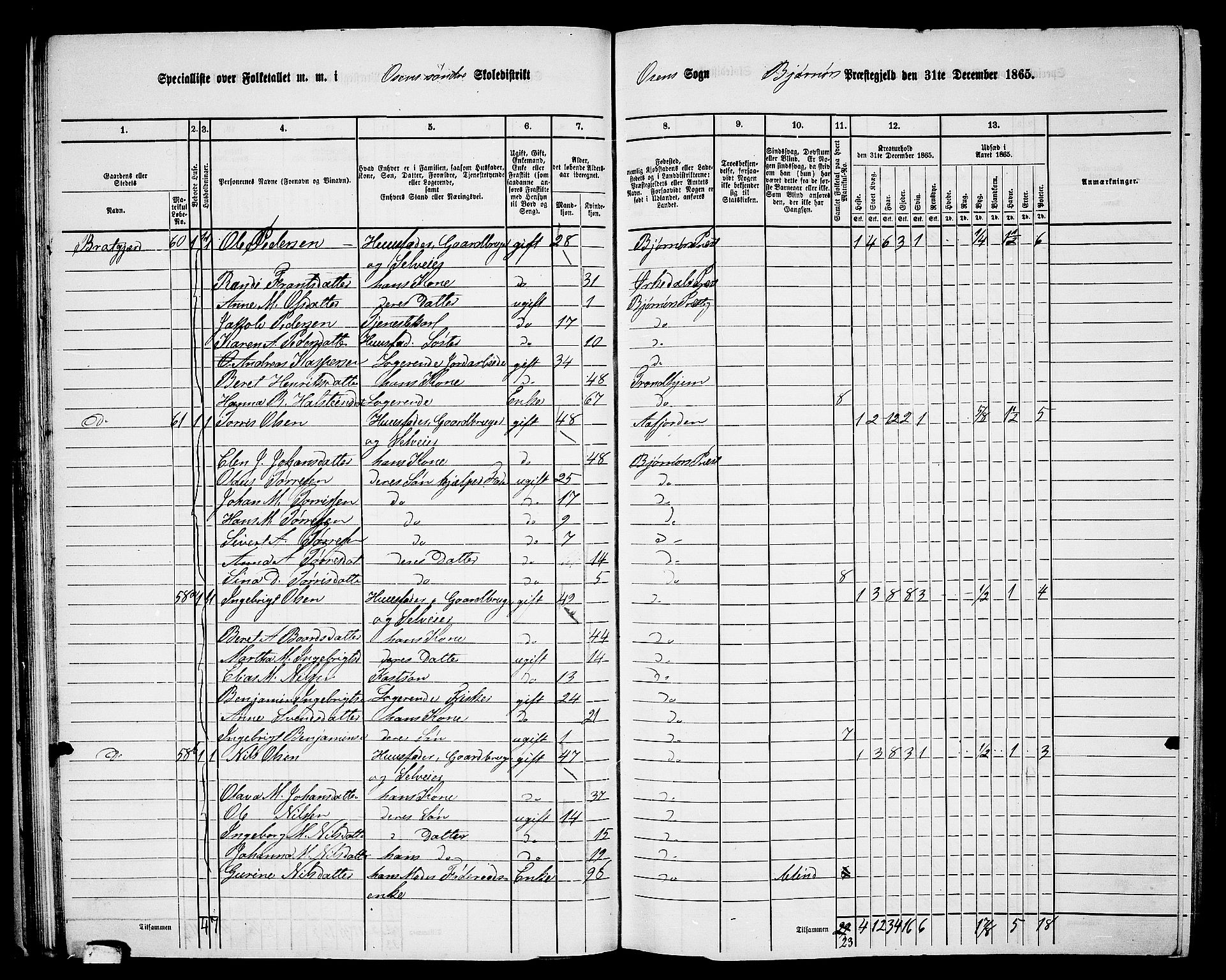 RA, 1865 census for Bjørnør, 1865, p. 51