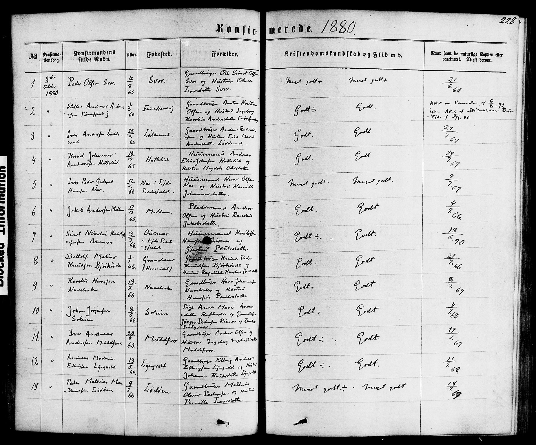 Hornindal sokneprestembete, SAB/A-82401/H/Haa/Haaa/L0002: Parish register (official) no. A 2, 1867-1884, p. 228