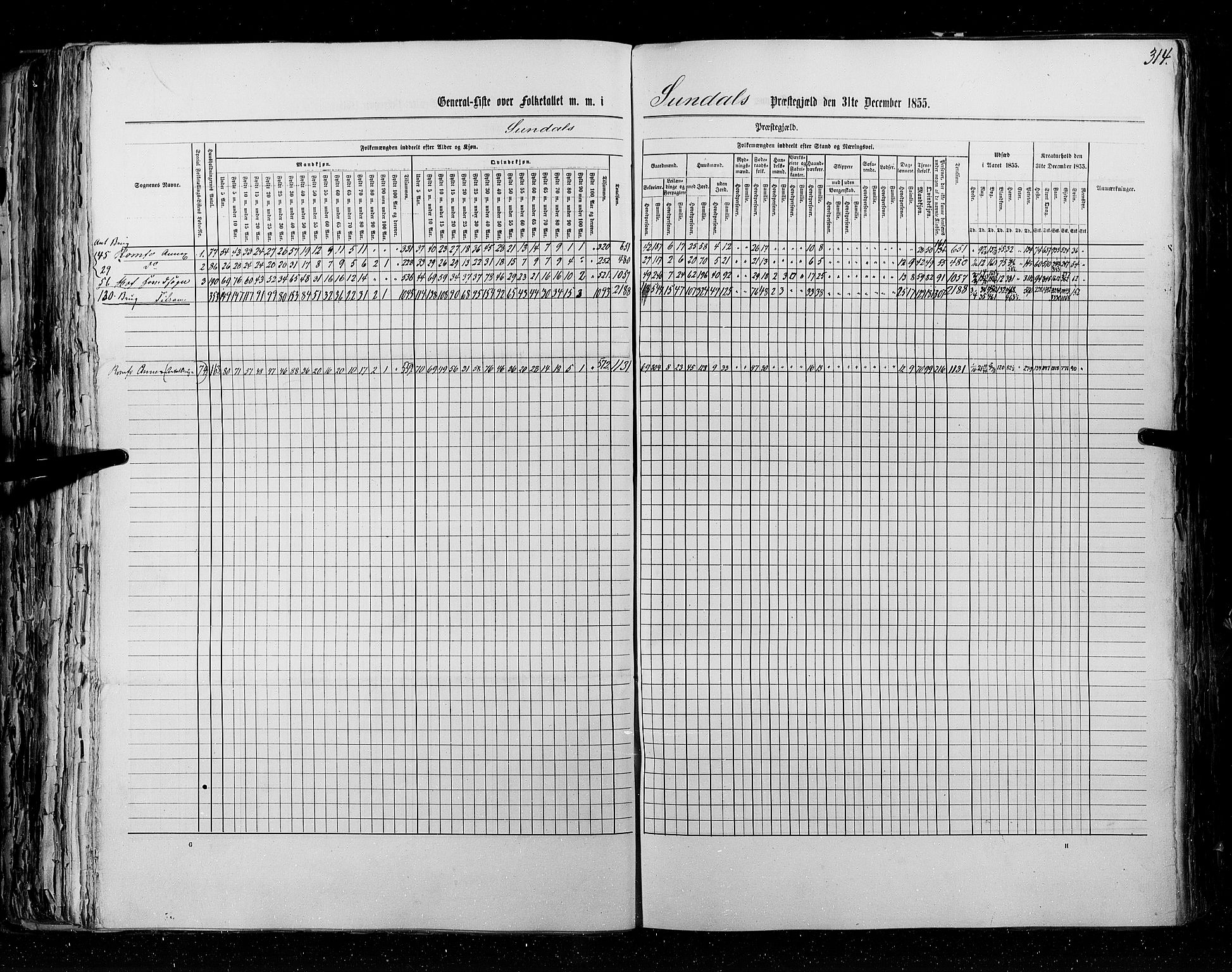 RA, Census 1855, vol. 5: Nordre Bergenhus amt, Romsdal amt og Søndre Trondhjem amt, 1855, p. 314