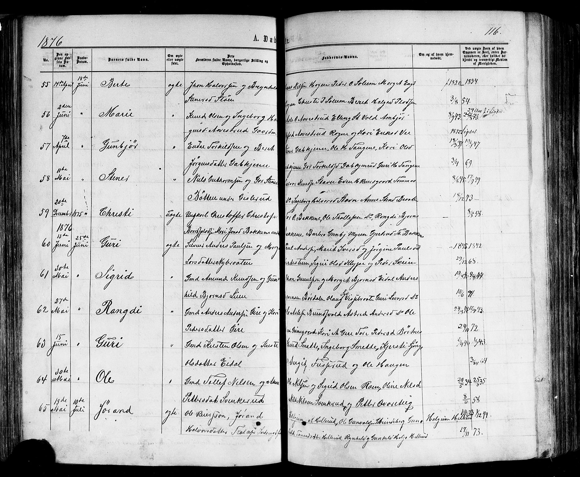 Nes kirkebøker, AV/SAKO-A-236/F/Fa/L0010: Parish register (official) no. 10, 1864-1880, p. 116