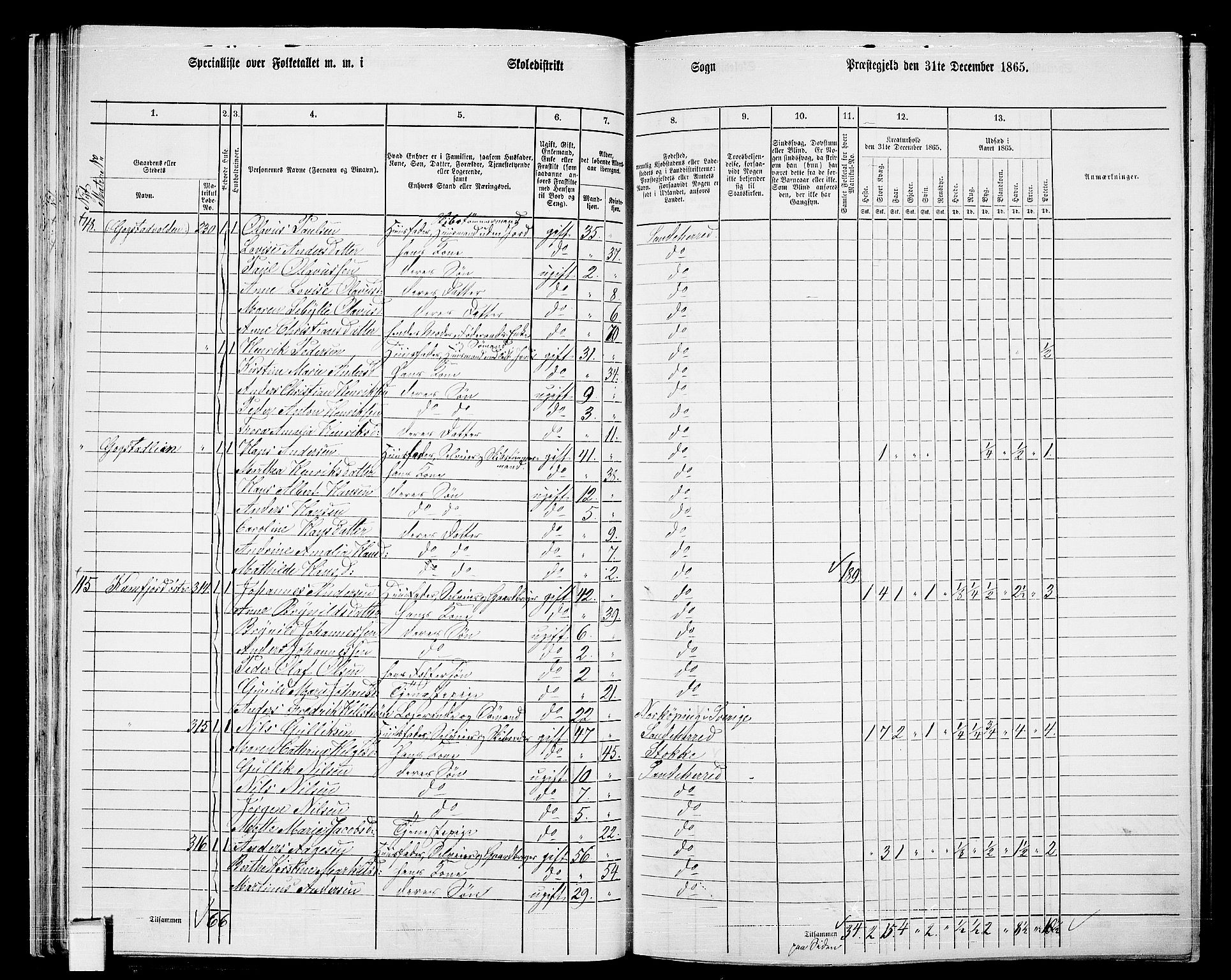 RA, 1865 census for Sandeherred/Sandeherred, 1865, p. 38