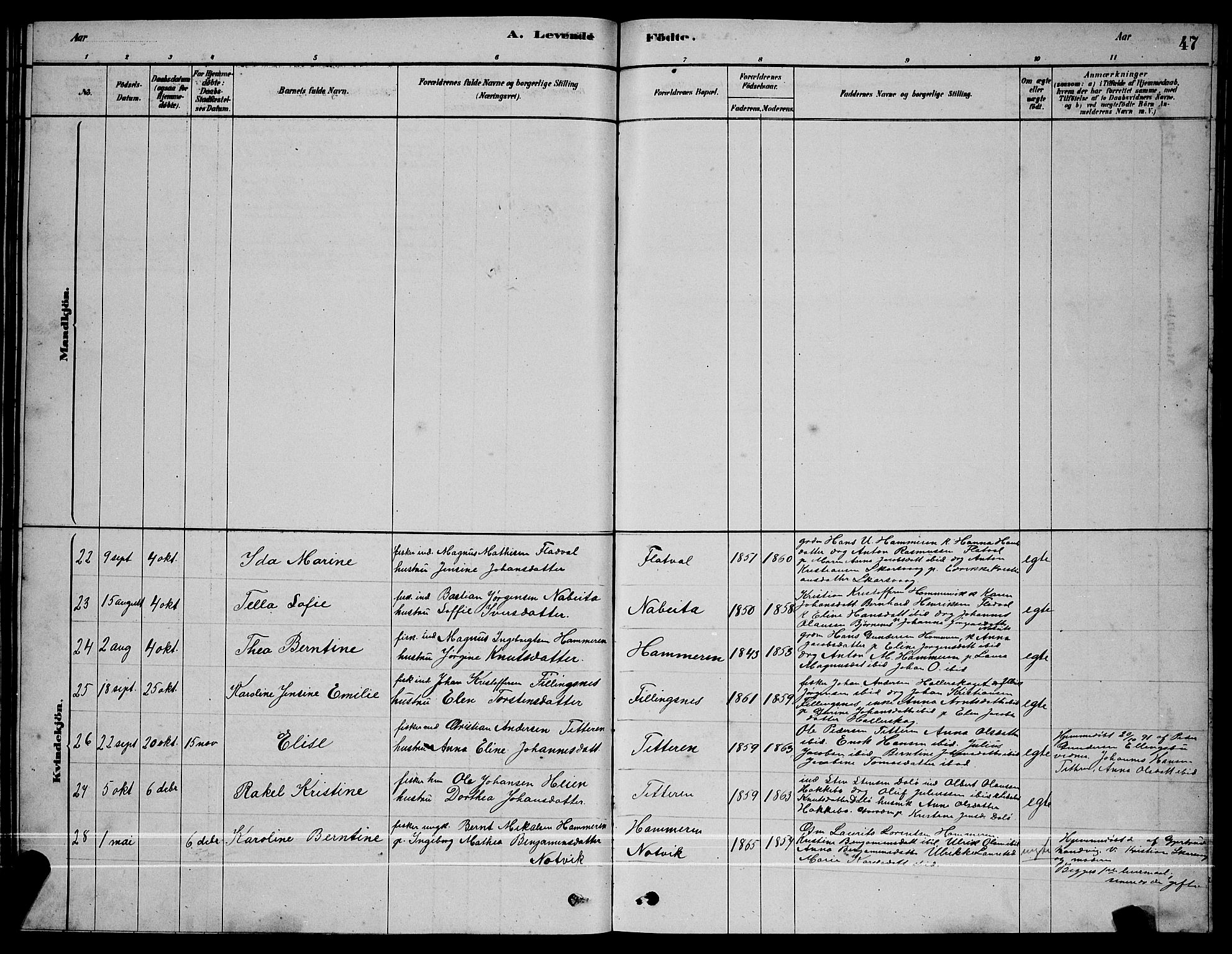 Ministerialprotokoller, klokkerbøker og fødselsregistre - Sør-Trøndelag, SAT/A-1456/641/L0597: Parish register (copy) no. 641C01, 1878-1893, p. 47