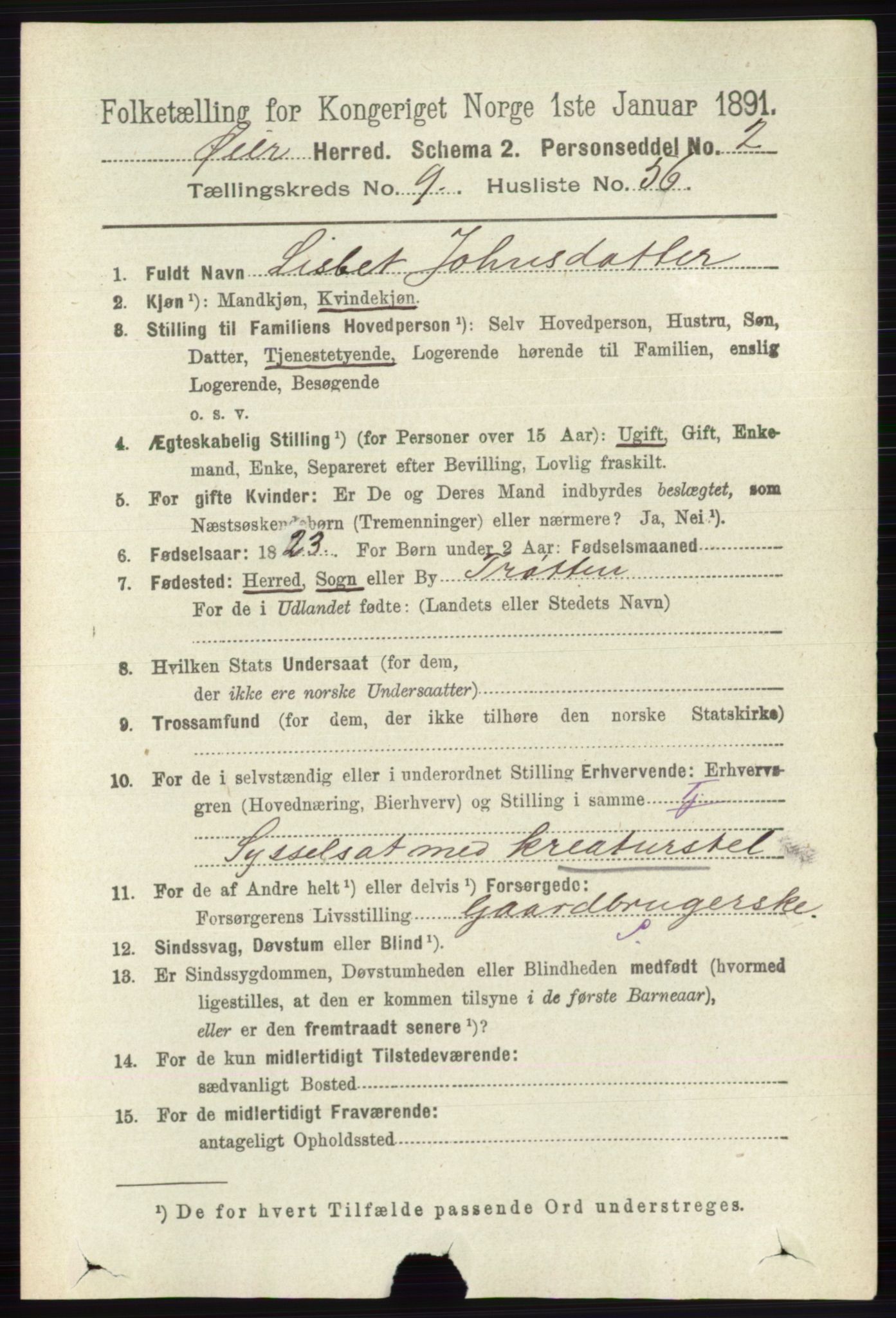 RA, 1891 census for 0521 Øyer, 1891, p. 3428