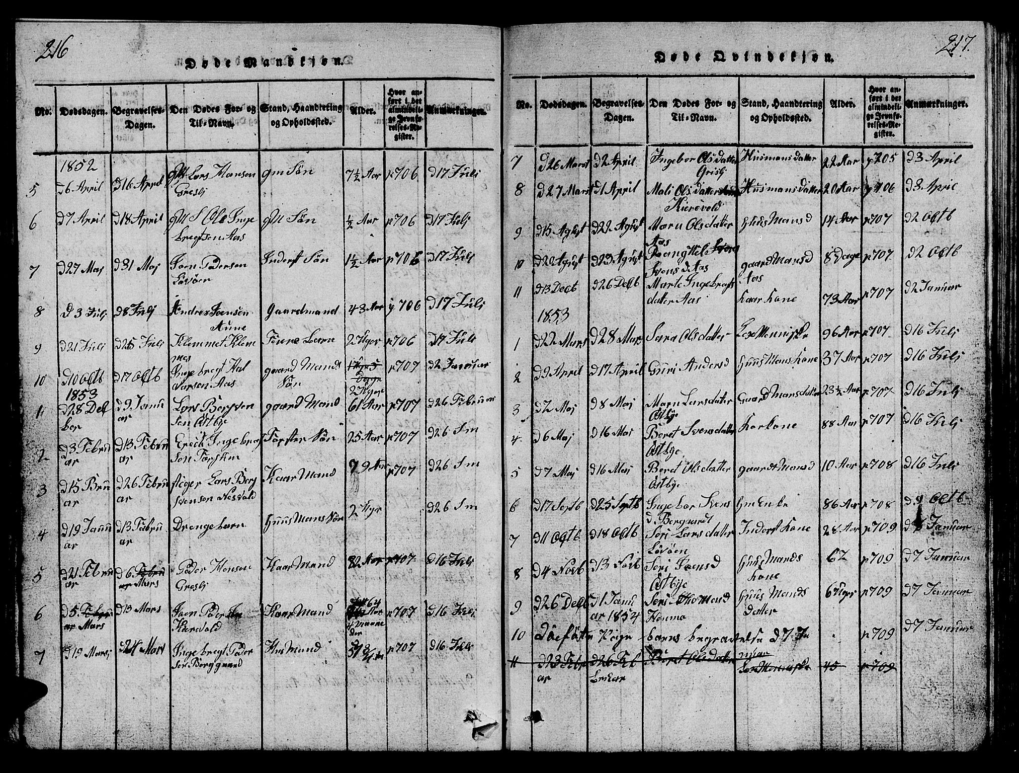 Ministerialprotokoller, klokkerbøker og fødselsregistre - Sør-Trøndelag, SAT/A-1456/698/L1164: Parish register (copy) no. 698C01, 1816-1861, p. 216-217