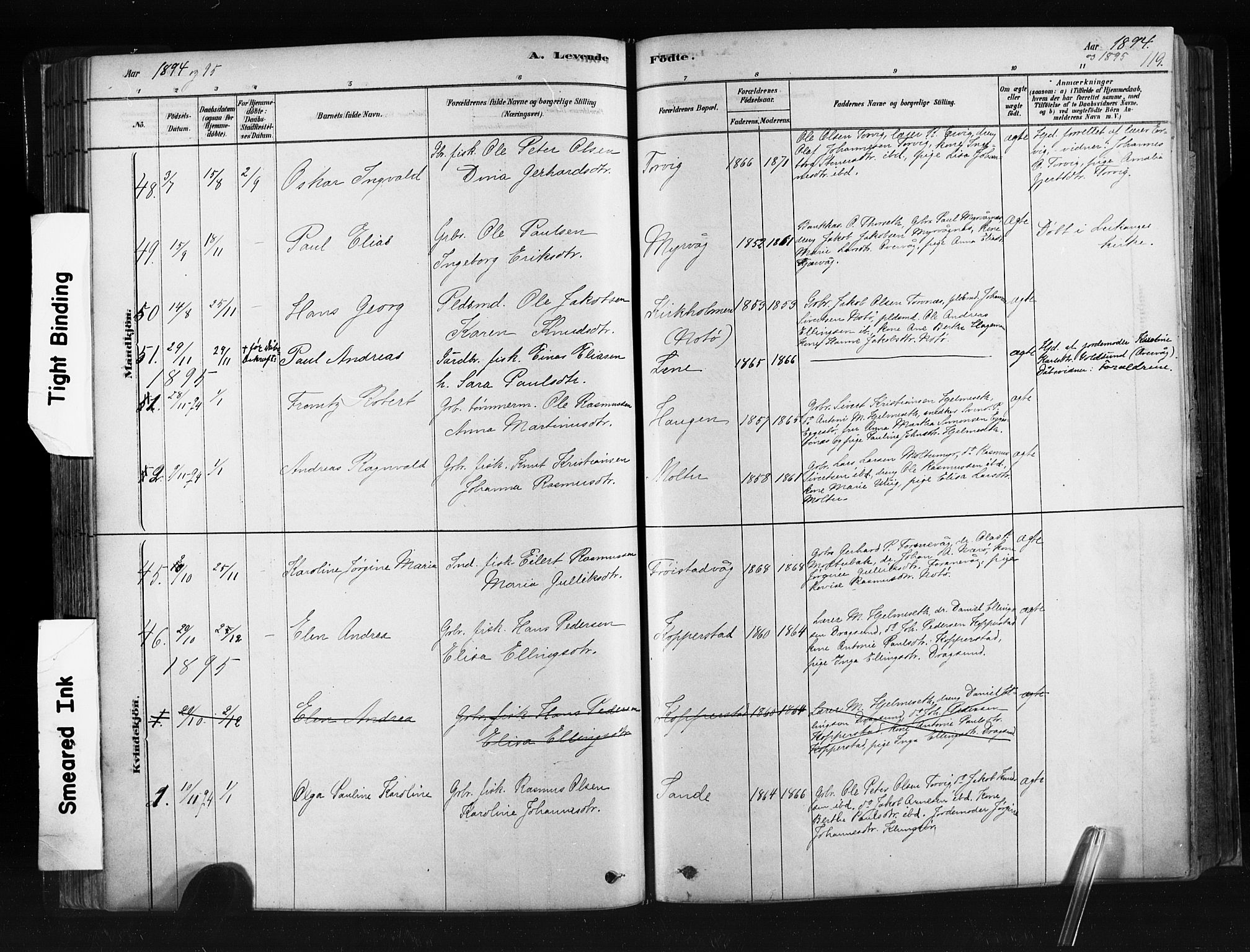 Ministerialprotokoller, klokkerbøker og fødselsregistre - Møre og Romsdal, SAT/A-1454/507/L0073: Parish register (official) no. 507A08, 1878-1904, p. 119