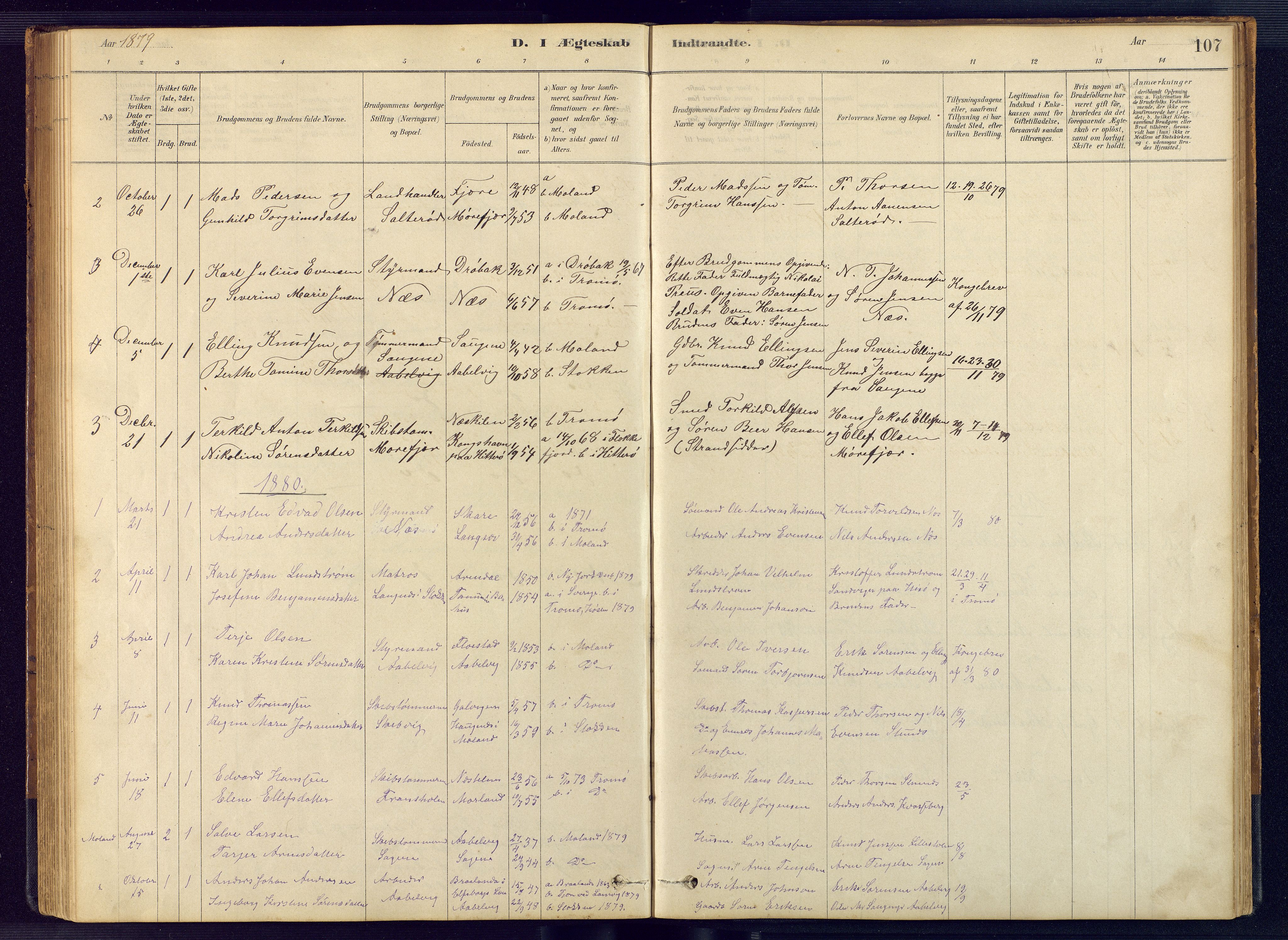 Austre Moland sokneprestkontor, SAK/1111-0001/F/Fb/Fbb/L0001: Parish register (copy) no. B 1, 1878-1904, p. 107