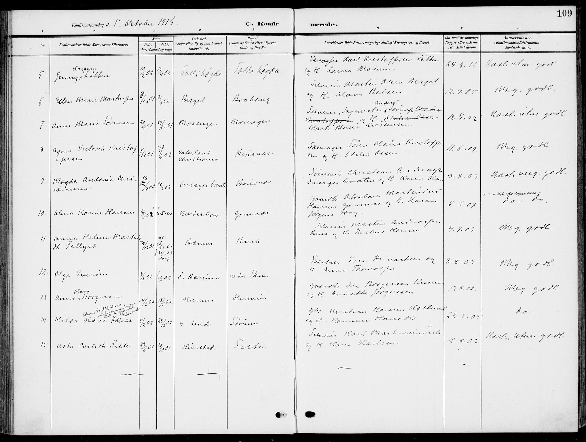 Hole kirkebøker, AV/SAKO-A-228/F/Fa/L0010: Parish register (official) no. I 10, 1907-1917, p. 109