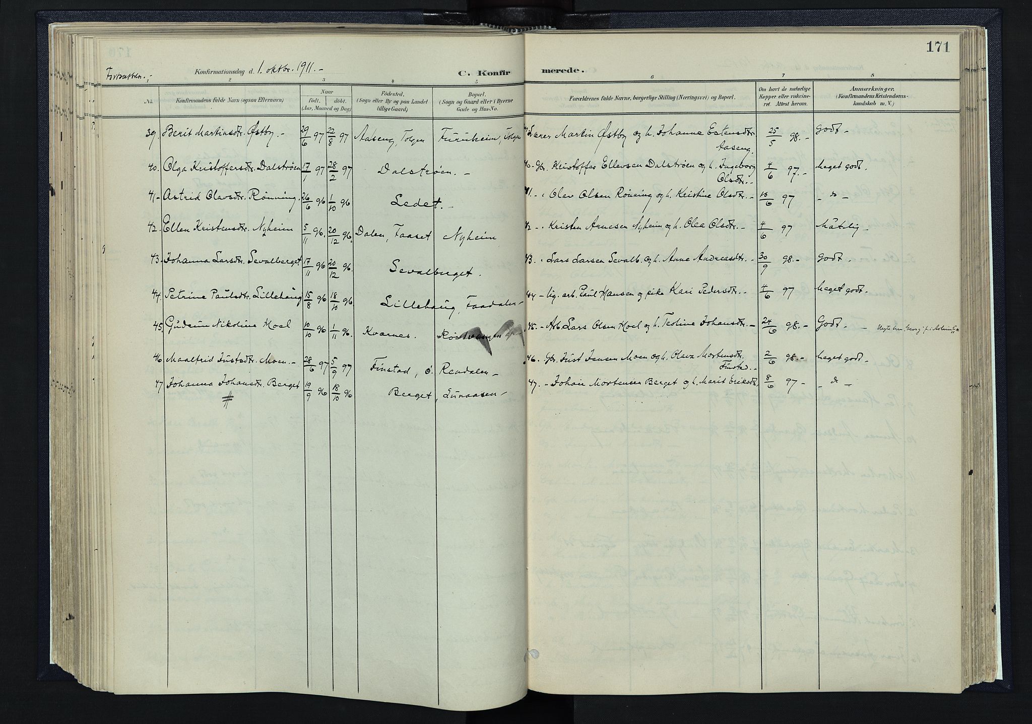 Tynset prestekontor, SAH/PREST-058/H/Ha/Haa/L0025: Parish register (official) no. 25, 1900-1914, p. 171