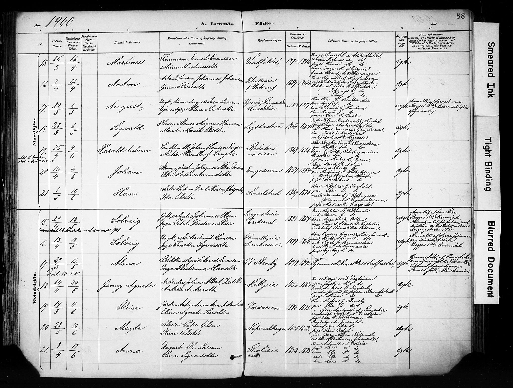 Biri prestekontor, AV/SAH-PREST-096/H/Ha/Haa/L0009: Parish register (official) no. 9, 1887-1900, p. 88