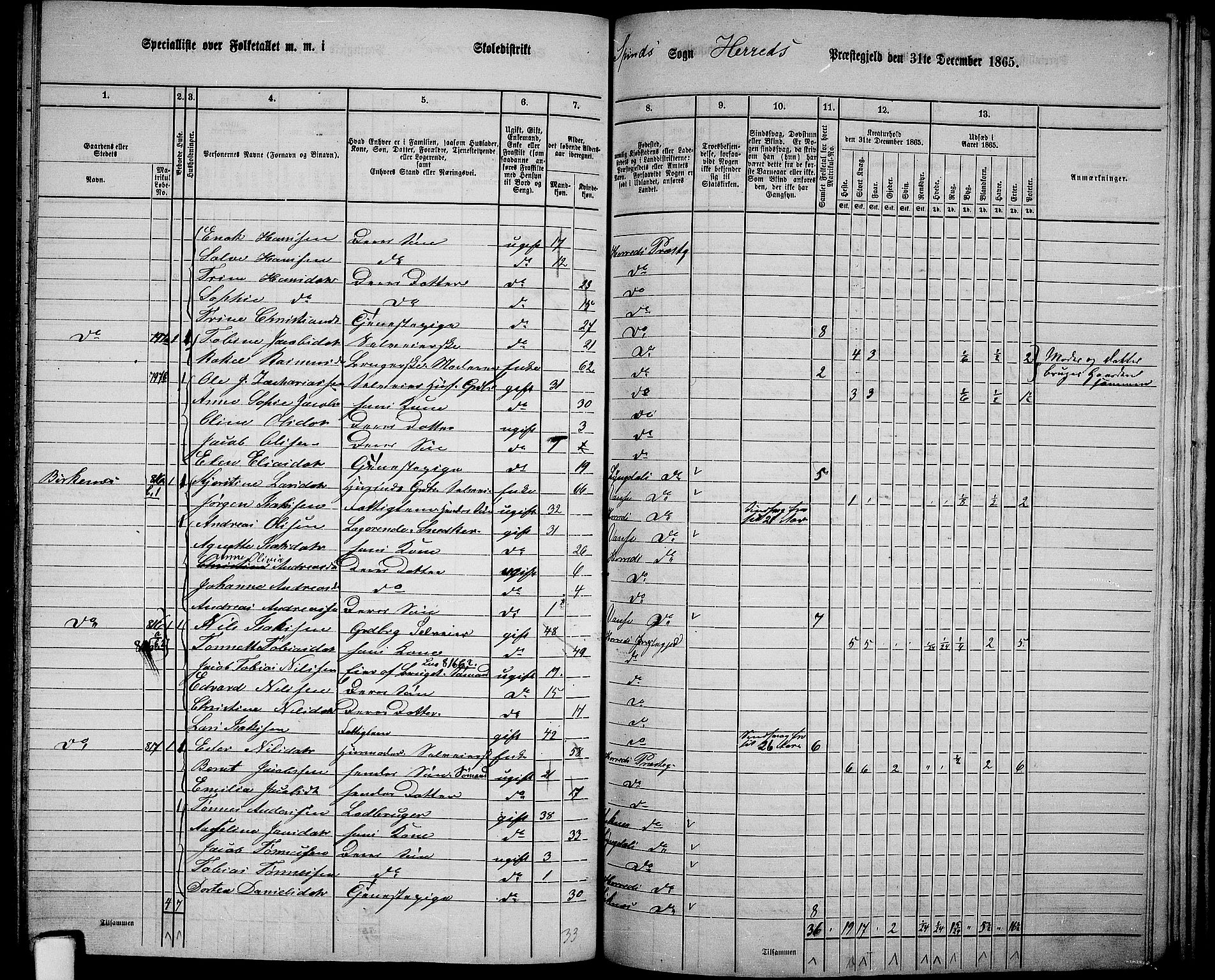 RA, 1865 census for Herad, 1865, p. 66