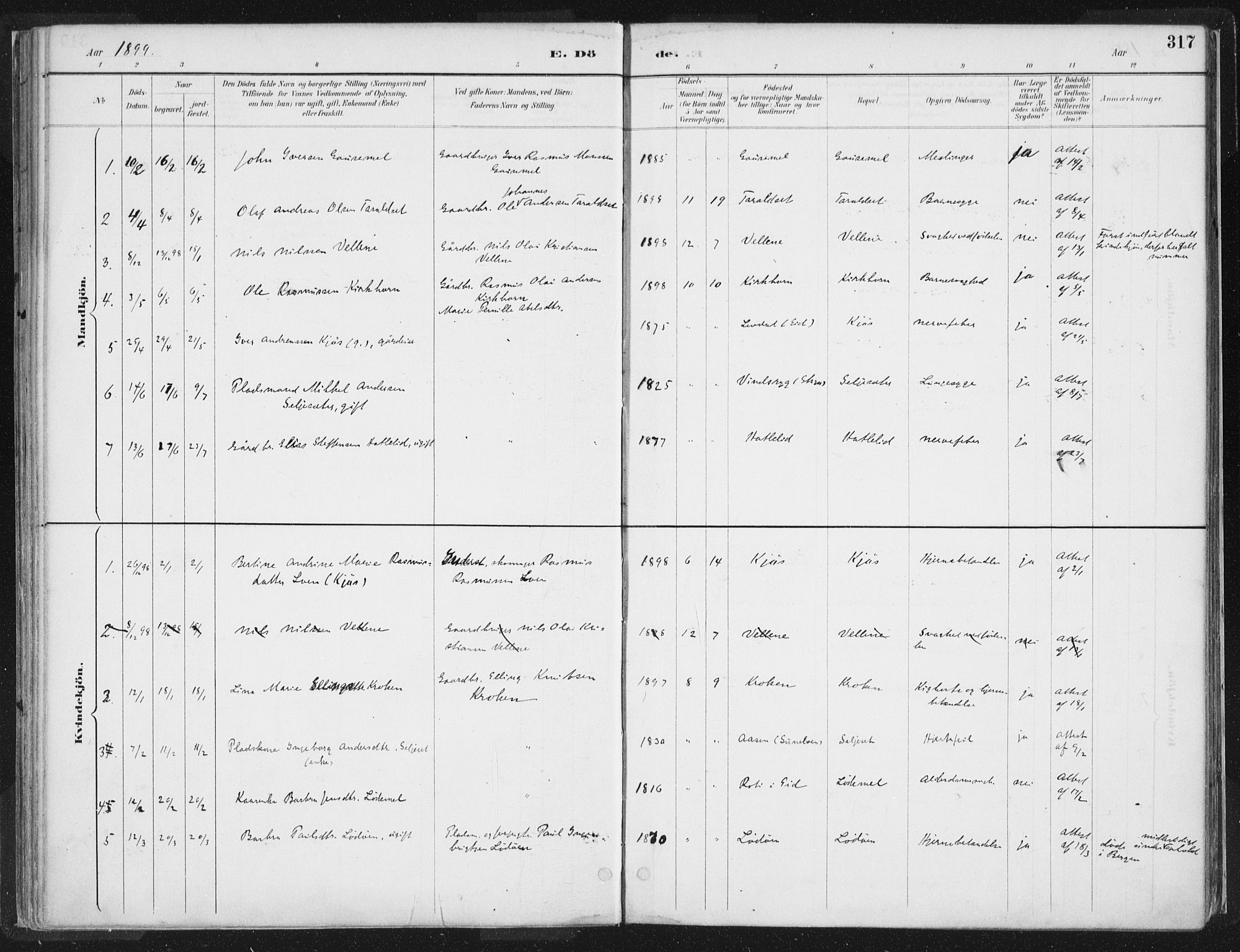 Hornindal sokneprestembete, SAB/A-82401/H/Haa/Haaa/L0003/0002: Parish register (official) no. A 3B, 1885-1917, p. 317