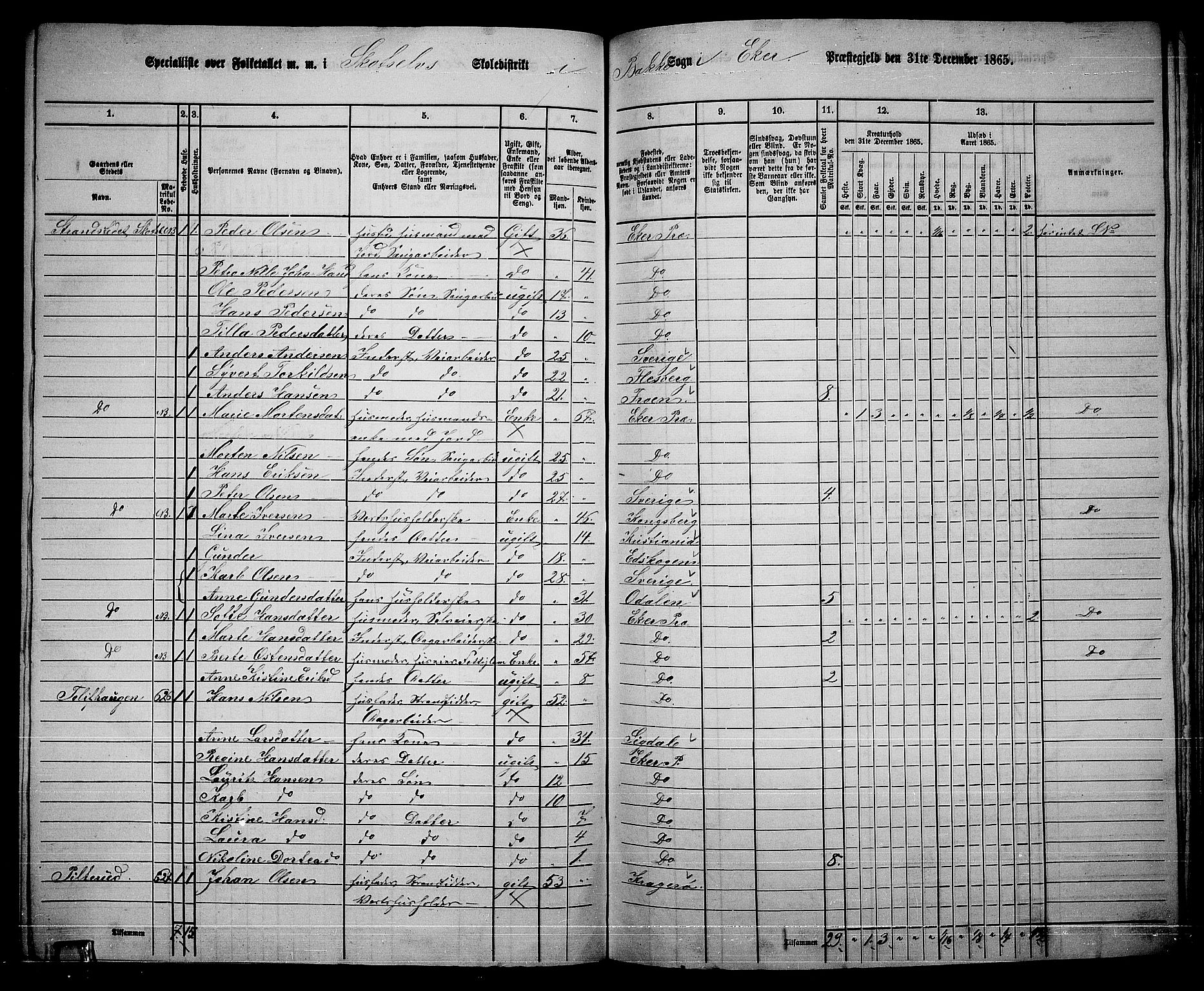 RA, 1865 census for Eiker, 1865, p. 478