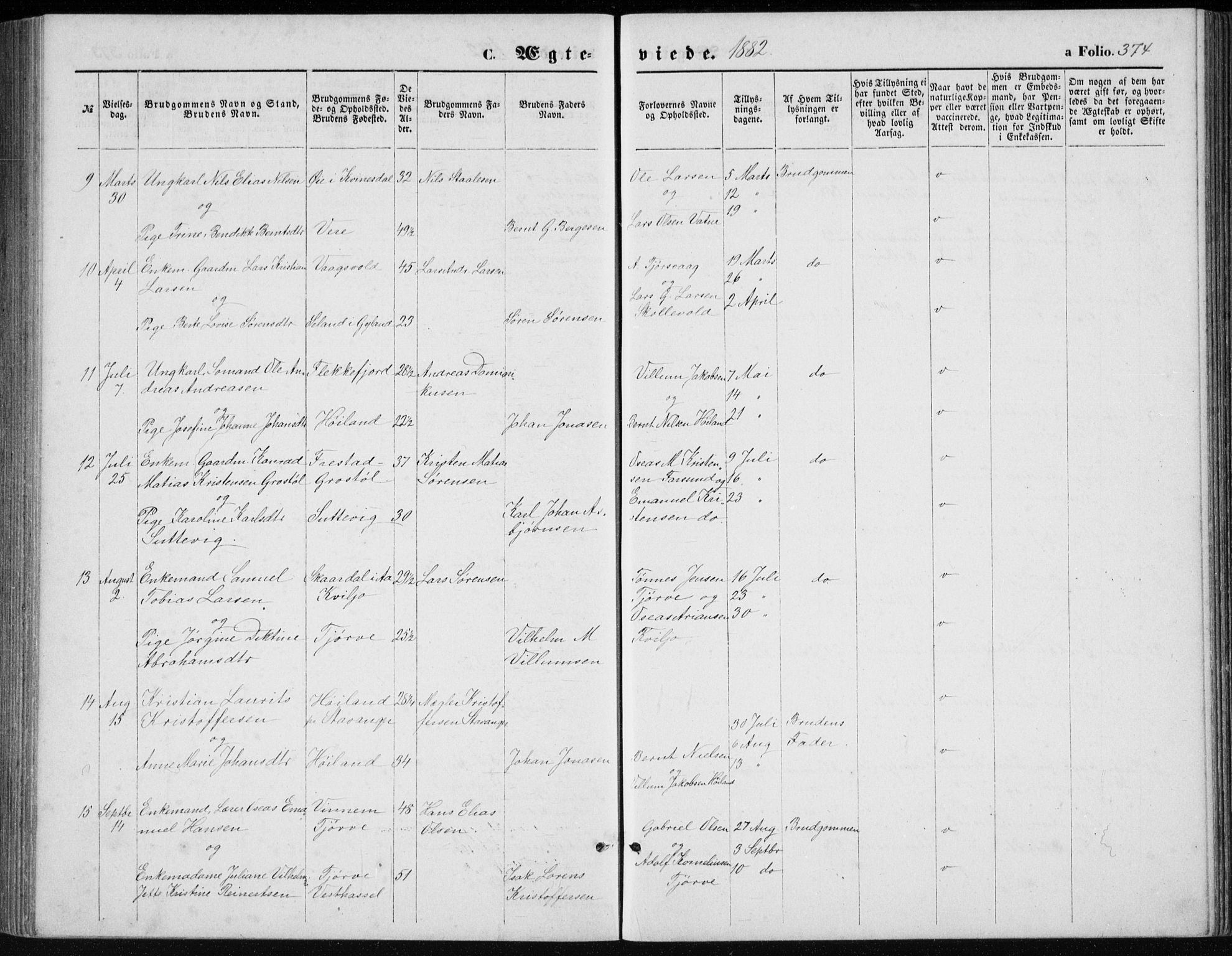 Lista sokneprestkontor, AV/SAK-1111-0027/F/Fb/L0004: Parish register (copy) no. B 4, 1877-1891, p. 374