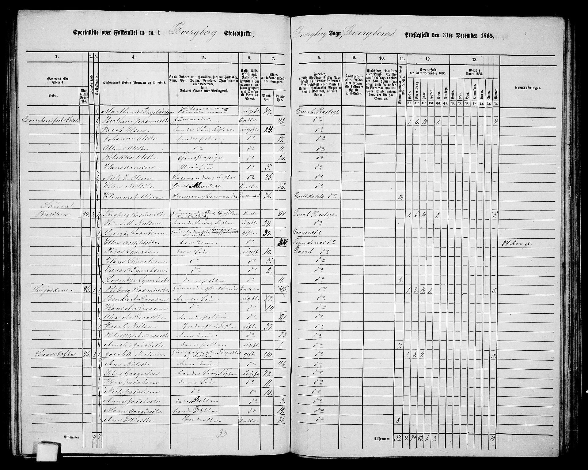 RA, 1865 census for Dverberg, 1865, p. 20