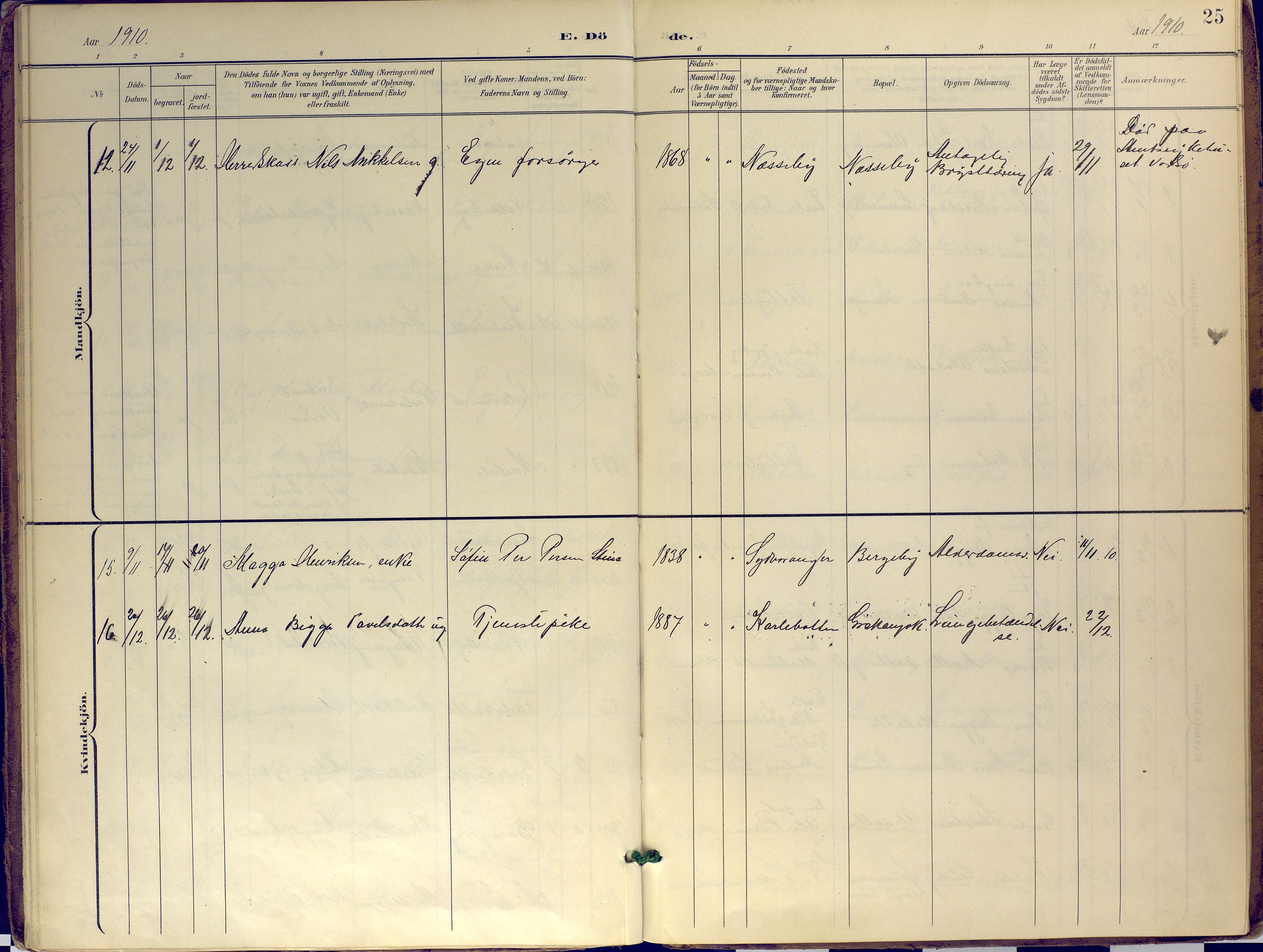 Nesseby sokneprestkontor, SATØ/S-1330/H/Ha/L0007kirke: Parish register (official) no. 7, 1898-1921, p. 25