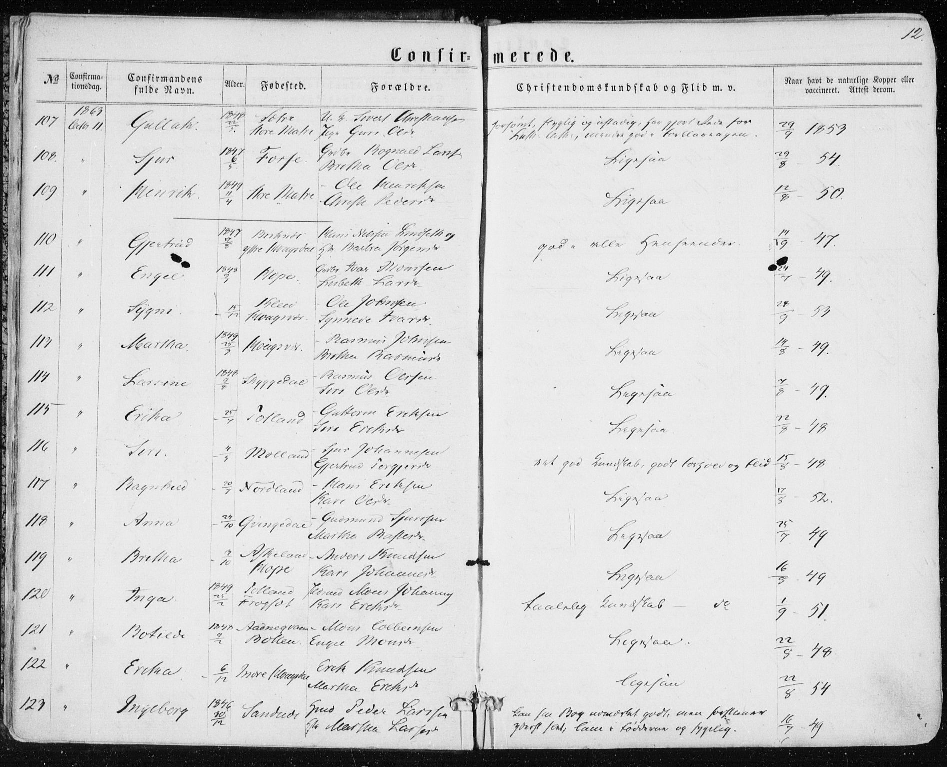 Lindås Sokneprestembete, AV/SAB-A-76701/H/Haa/Haaa/L0016: Parish register (official) no. A 16, 1863-1875, p. 12