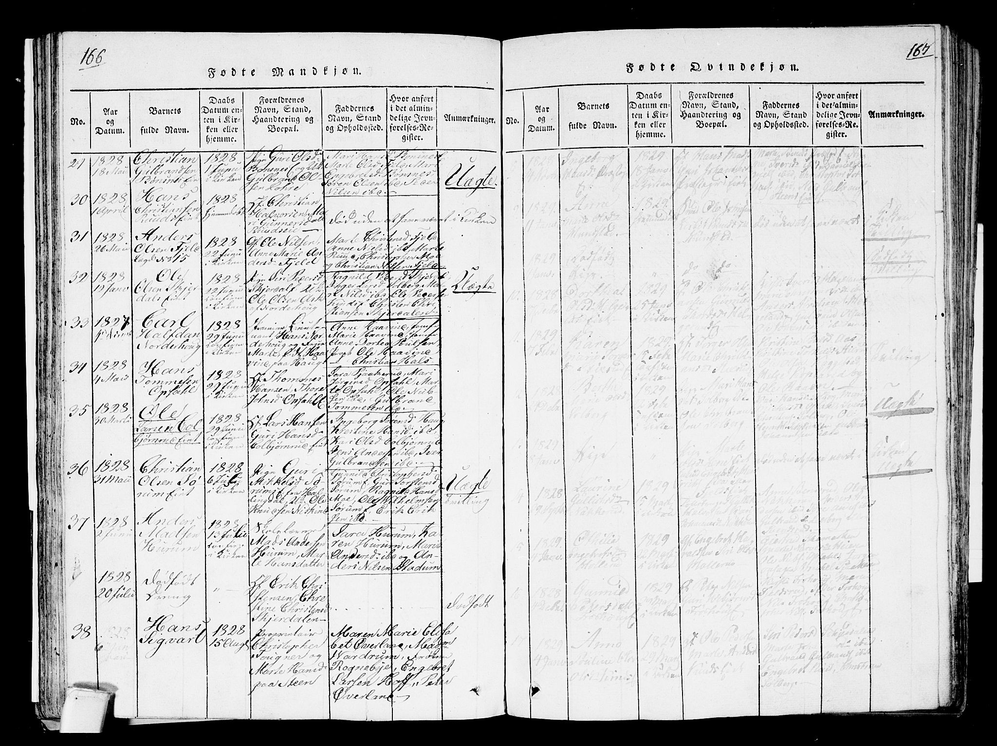 Hole kirkebøker, AV/SAKO-A-228/F/Fa/L0004: Parish register (official) no. I 4, 1814-1833, p. 166-167