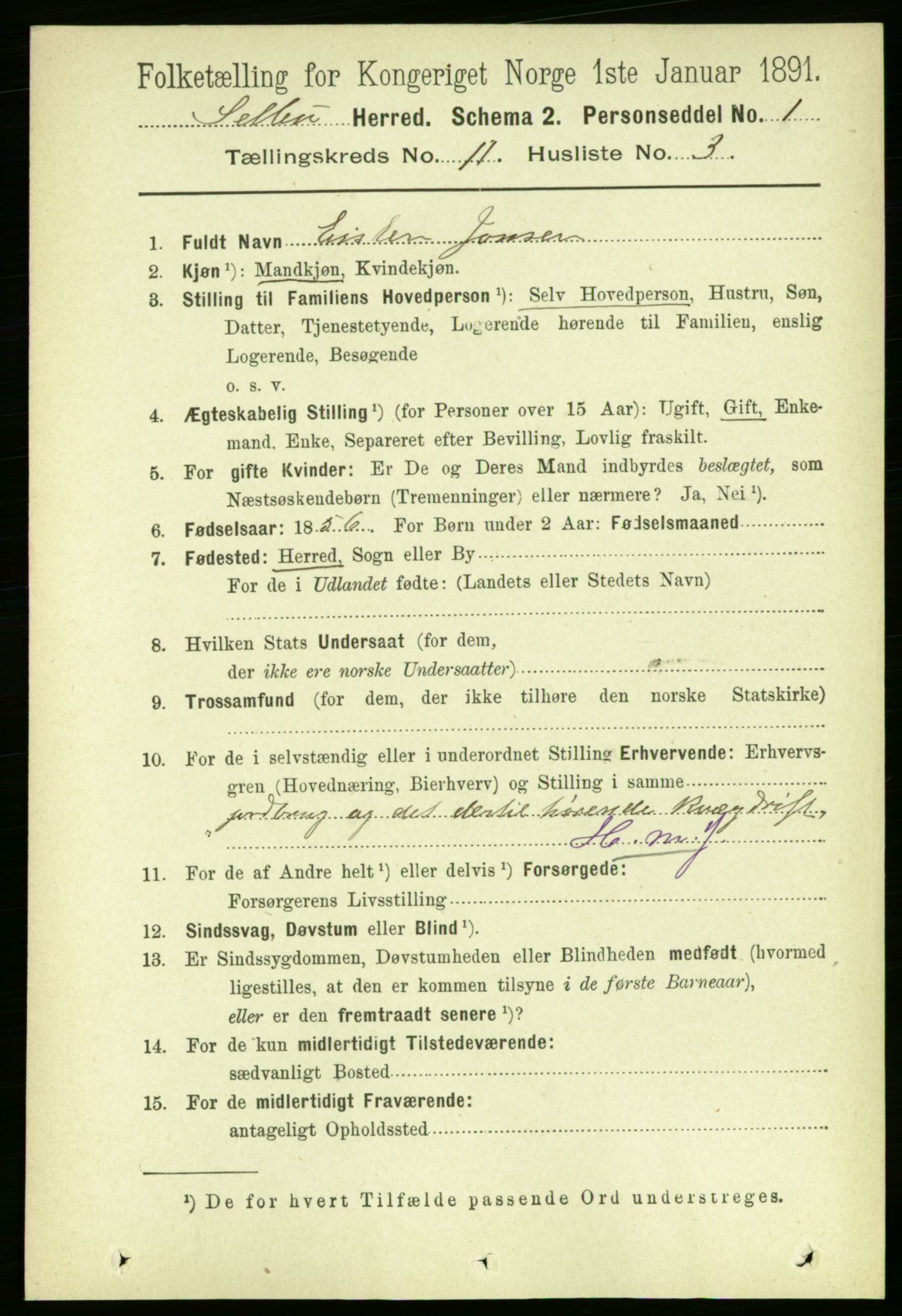 RA, 1891 census for 1664 Selbu, 1891, p. 4006