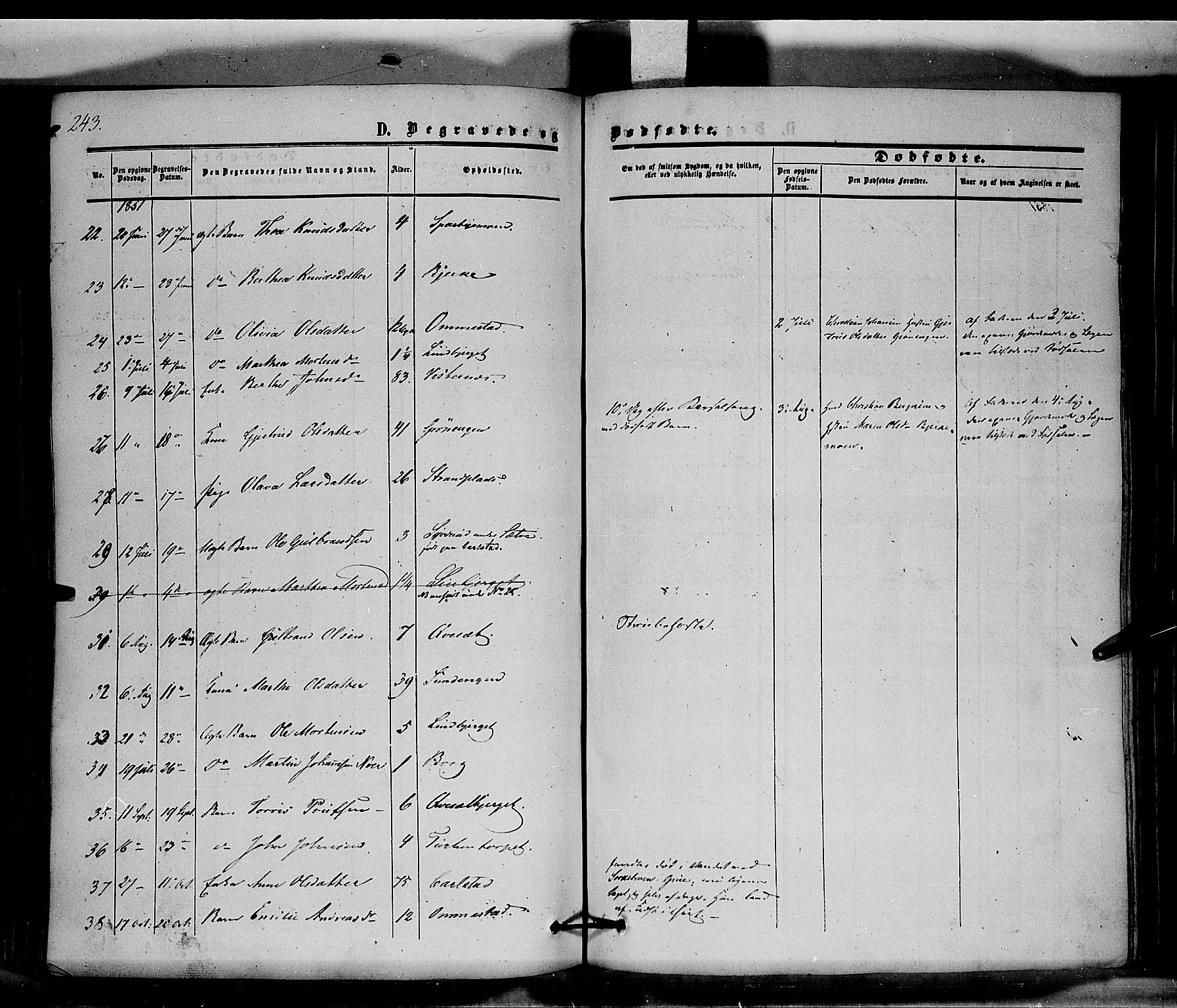 Hof prestekontor, AV/SAH-PREST-038/H/Ha/Haa/L0008: Parish register (official) no. 8, 1849-1861, p. 243