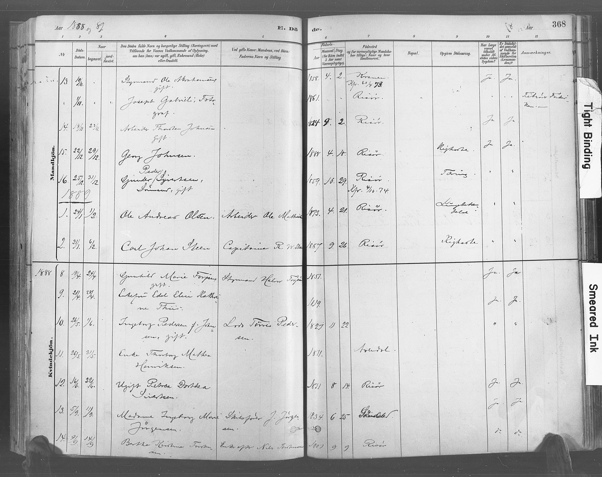 Risør sokneprestkontor, AV/SAK-1111-0035/F/Fa/L0005: Parish register (official) no. A 5, 1883-1895, p. 368