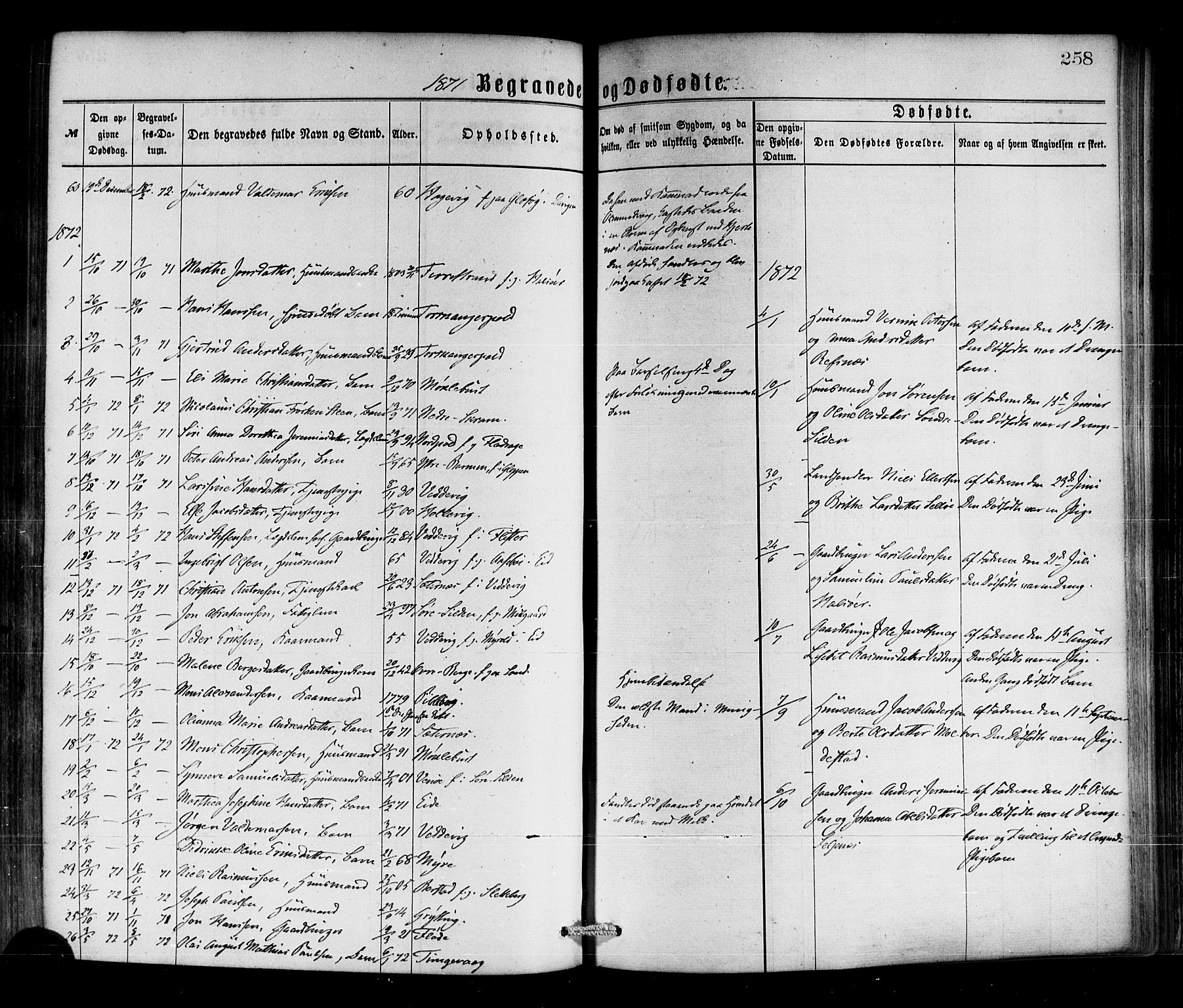 Selje sokneprestembete, SAB/A-99938/H/Ha/Haa/Haaa: Parish register (official) no. A 12, 1870-1880, p. 258