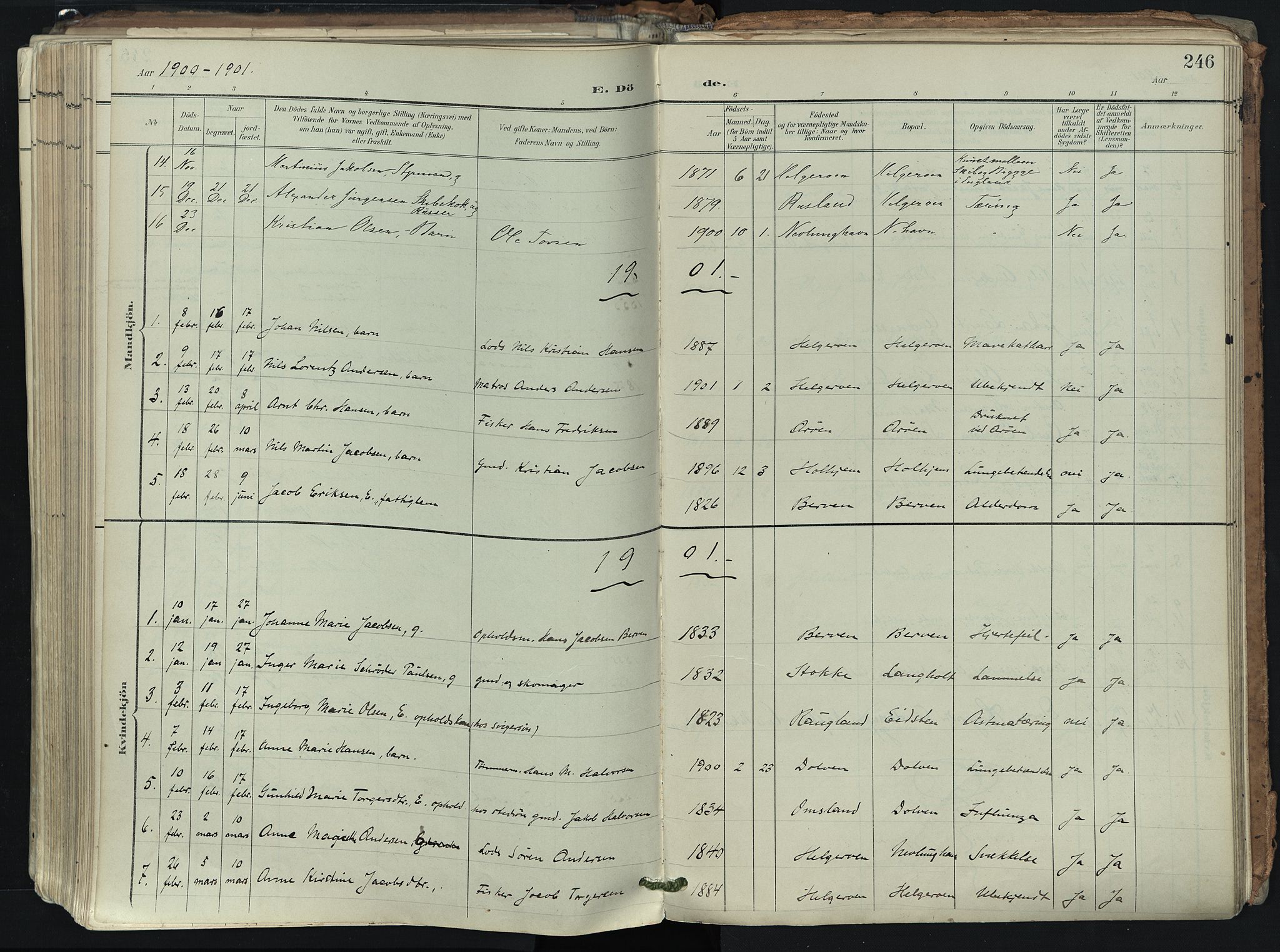 Brunlanes kirkebøker, SAKO/A-342/F/Fb/L0003: Parish register (official) no. II 3, 1900-1922, p. 246