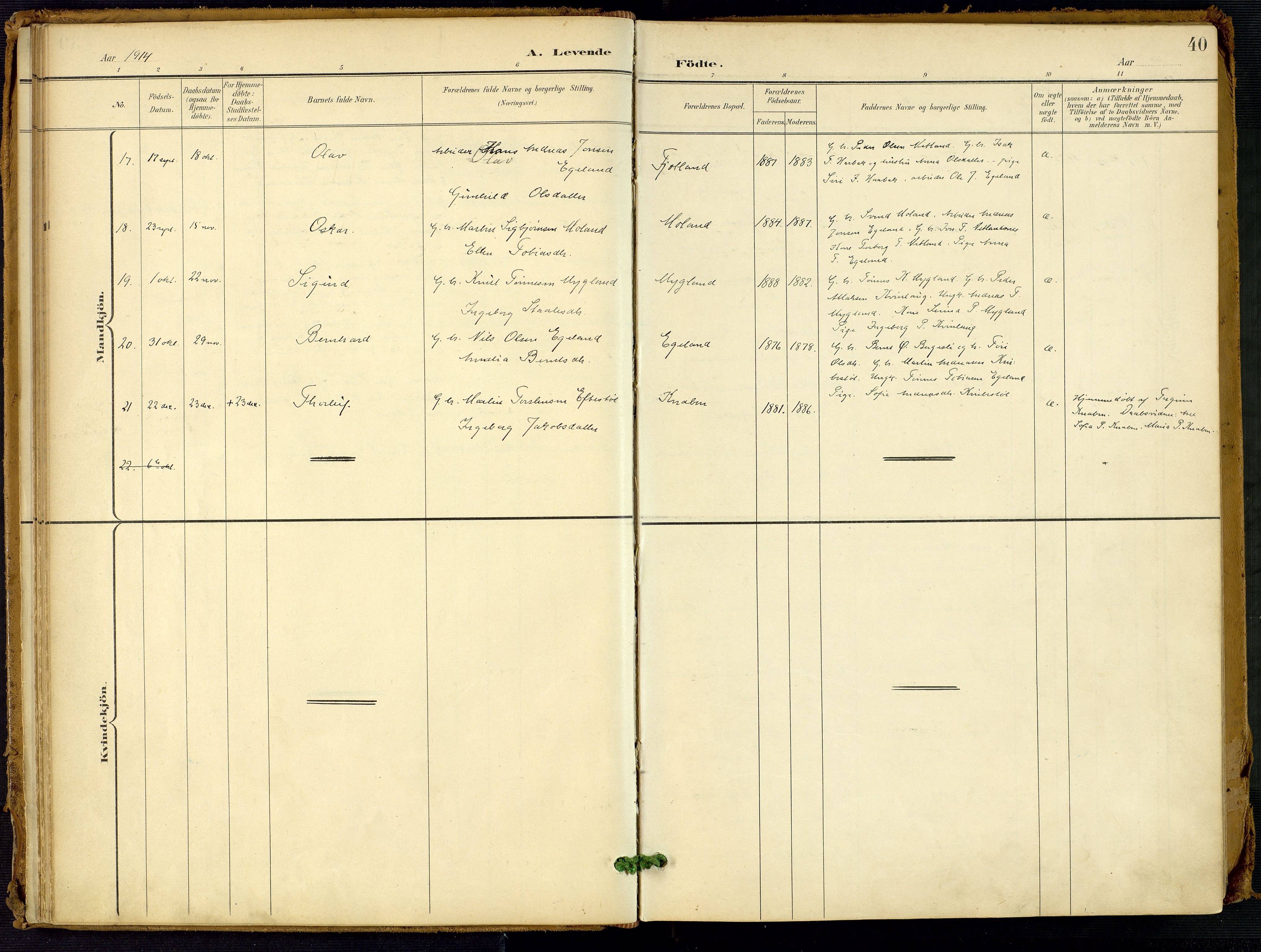 Fjotland sokneprestkontor, SAK/1111-0010/F/Fa/L0003: Parish register (official) no. A 3, 1899-1917, p. 40