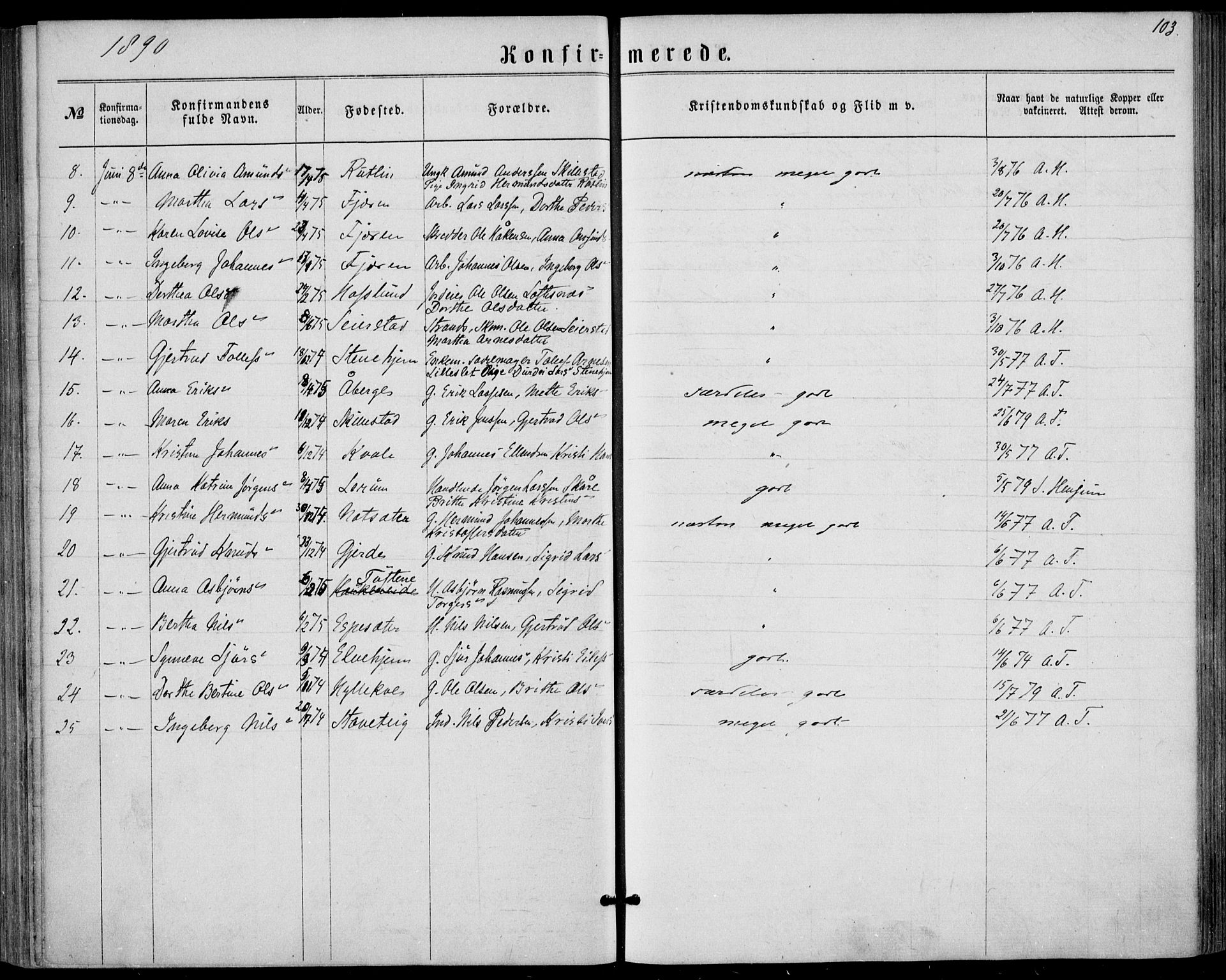 Sogndal sokneprestembete, AV/SAB-A-81301/H/Haa/Haaa/L0015: Parish register (official) no. A 15, 1871-1904, p. 103