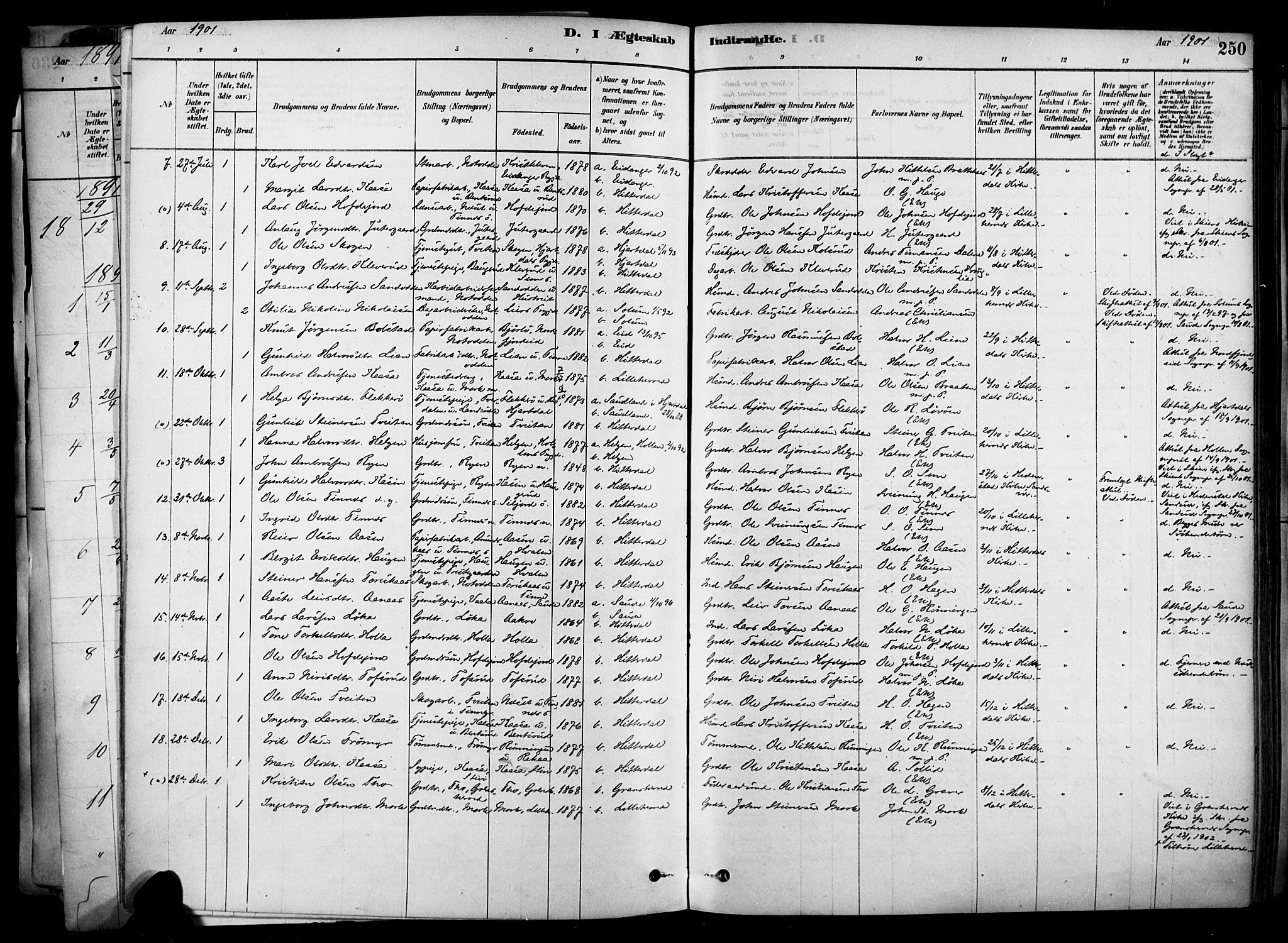 Heddal kirkebøker, SAKO/A-268/F/Fa/L0008: Parish register (official) no. I 8, 1878-1903, p. 250