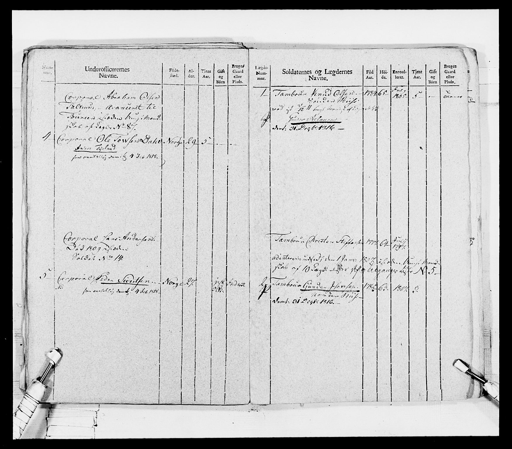 Generalitets- og kommissariatskollegiet, Det kongelige norske kommissariatskollegium, AV/RA-EA-5420/E/Eh/L0116: Telemarkske nasjonale infanteriregiment, 1810, p. 206