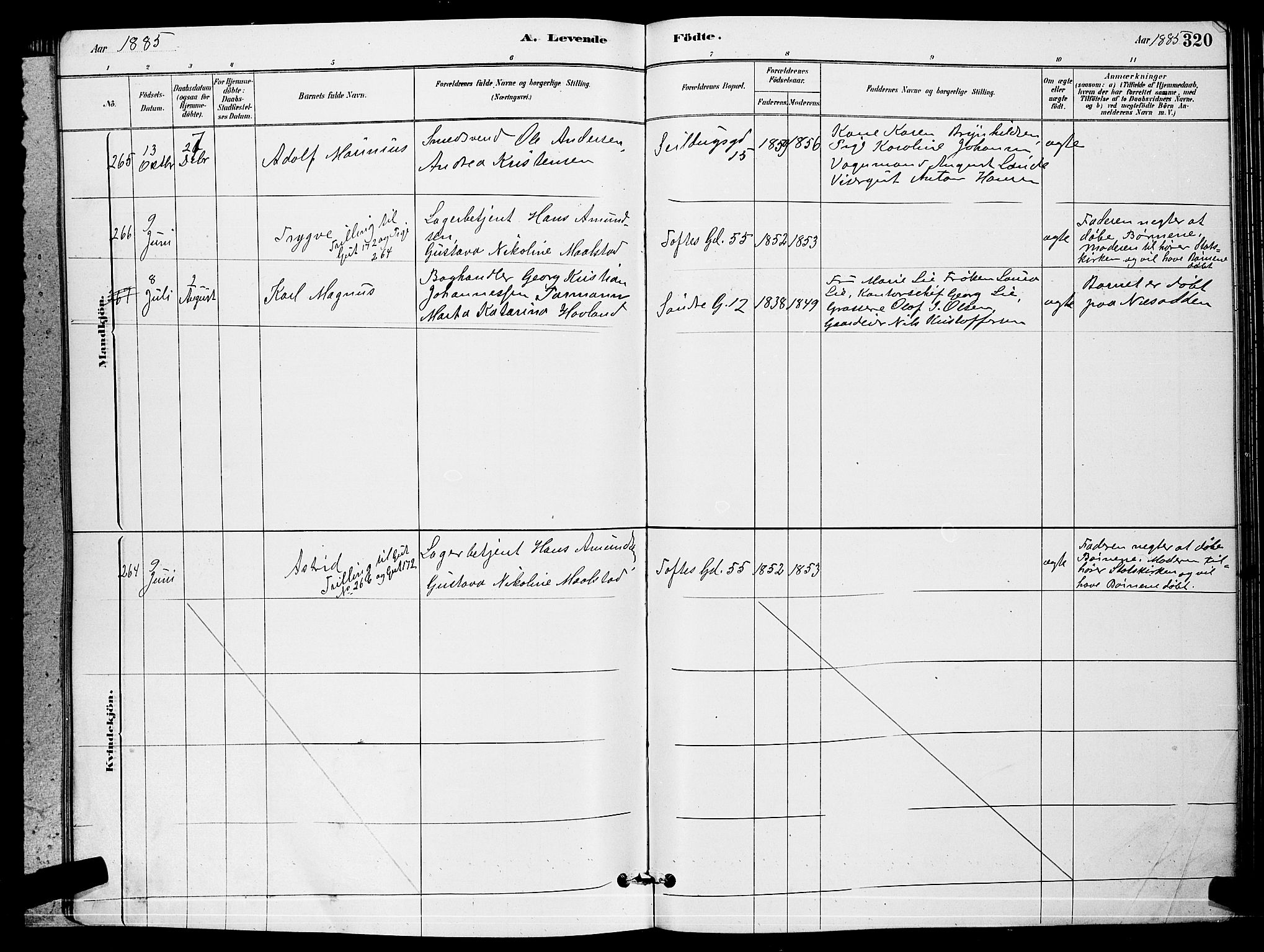 Paulus prestekontor Kirkebøker, AV/SAO-A-10871/G/Ga/L0002: Parish register (copy) no. 2, 1879-1887, p. 320