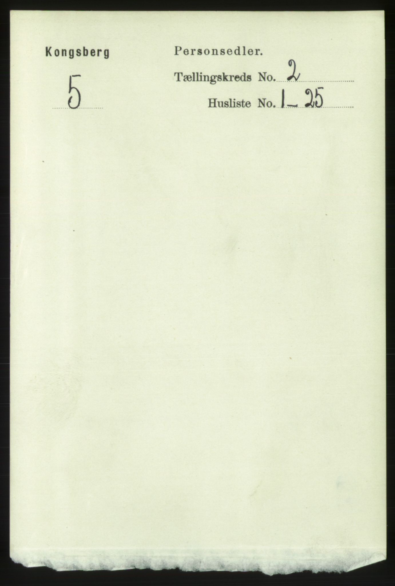 RA, 1891 census for 0604 Kongsberg, 1891, p. 2225