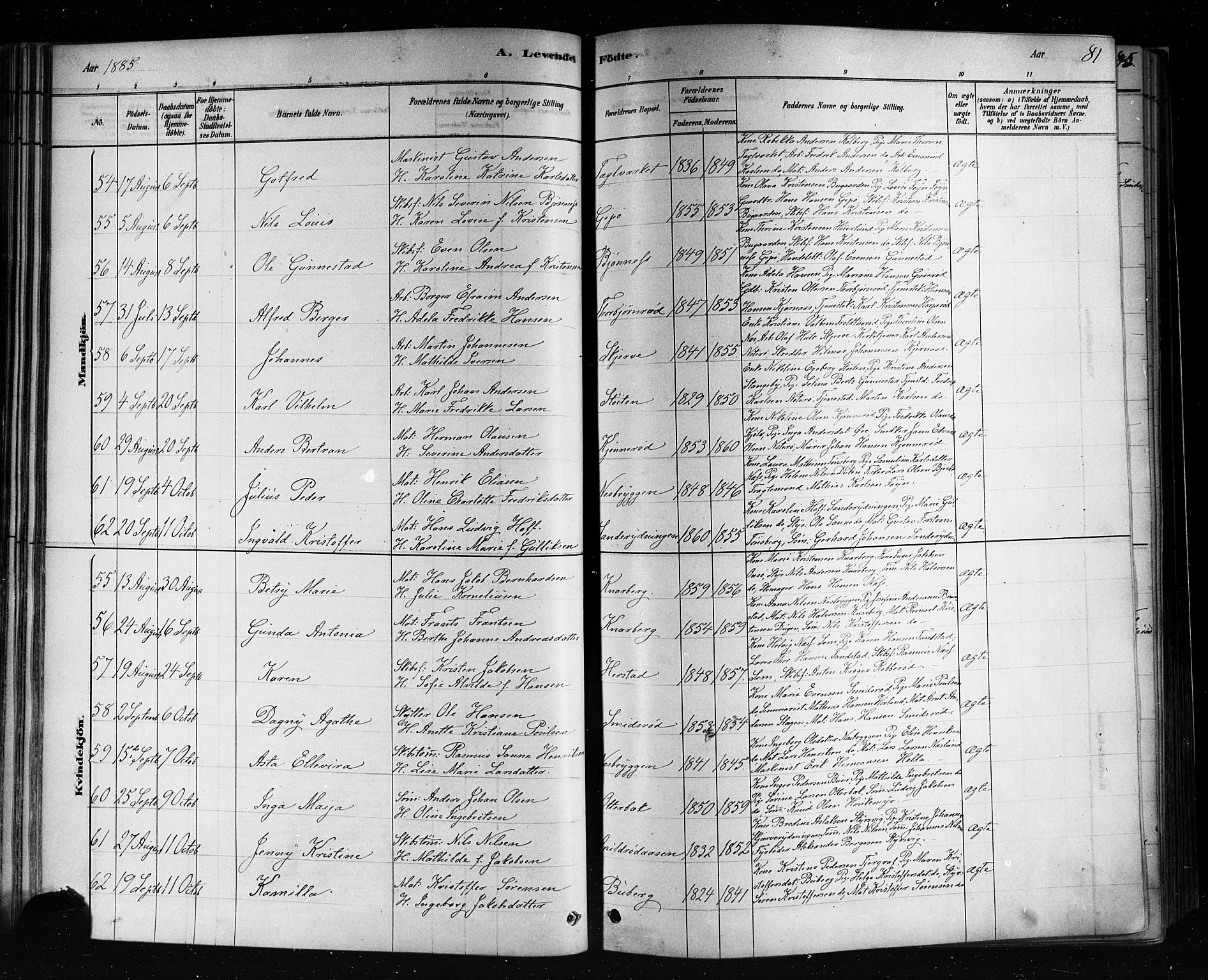 Nøtterøy kirkebøker, AV/SAKO-A-354/F/Fa/L0008: Parish register (official) no. I 8, 1878-1893, p. 81