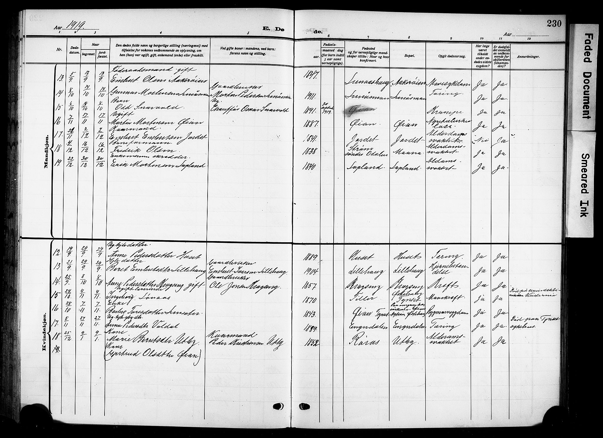 Tynset prestekontor, AV/SAH-PREST-058/H/Ha/Hab/L0011: Parish register (copy) no. 11, 1915-1930, p. 230