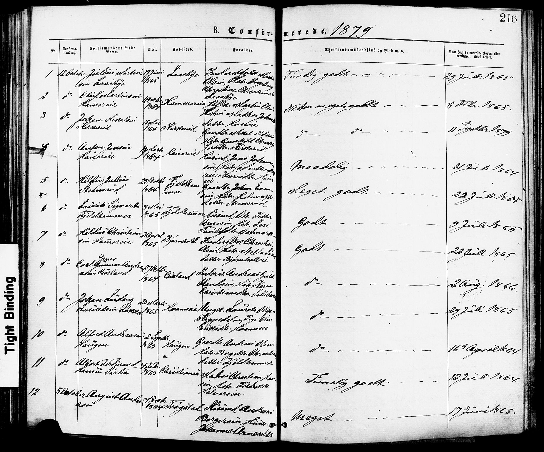 Skedsmo prestekontor Kirkebøker, AV/SAO-A-10033a/F/Fa/L0012: Parish register (official) no. I 12, 1876-1883, p. 216