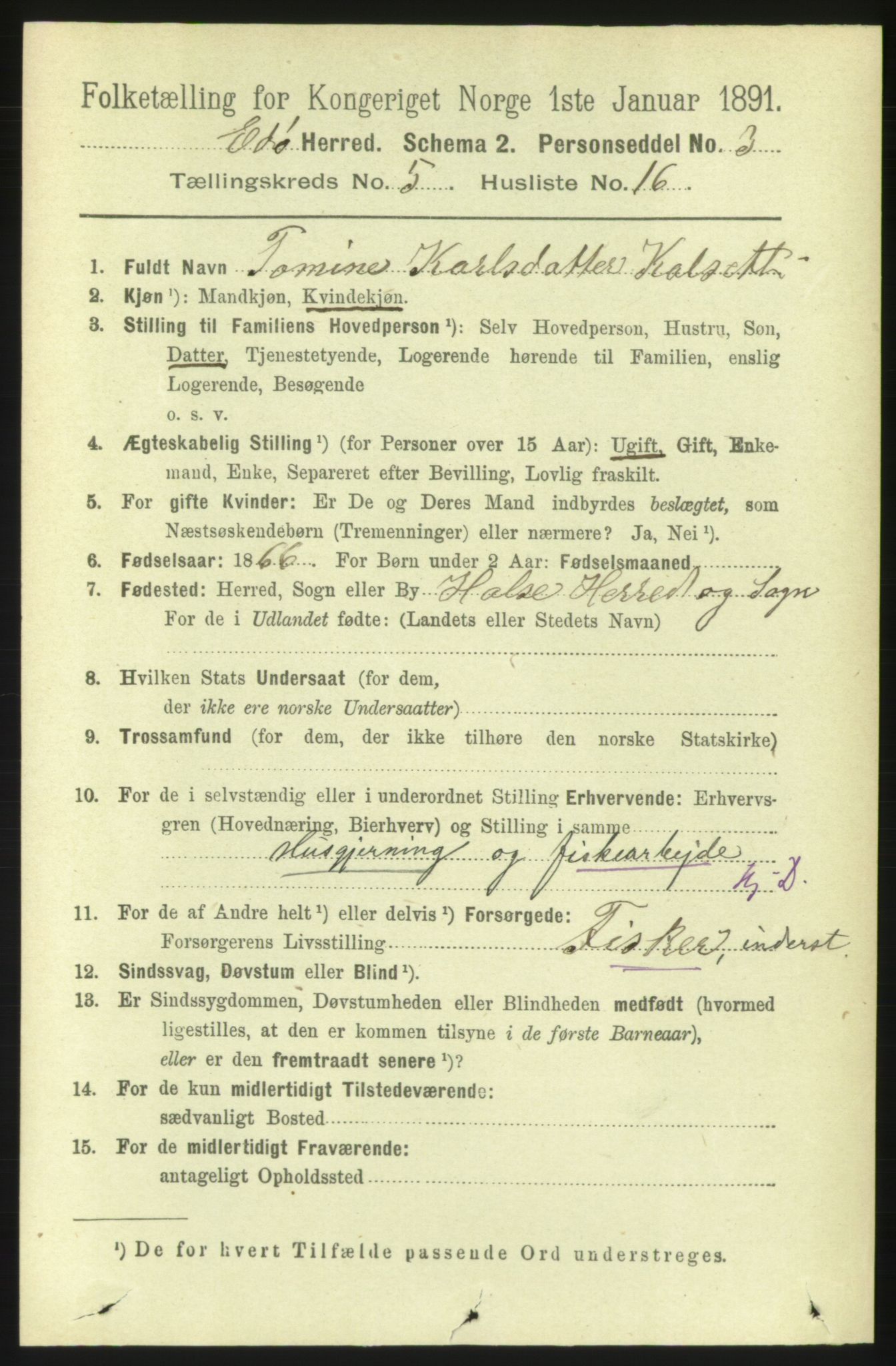 RA, 1891 census for 1573 Edøy, 1891, p. 1315