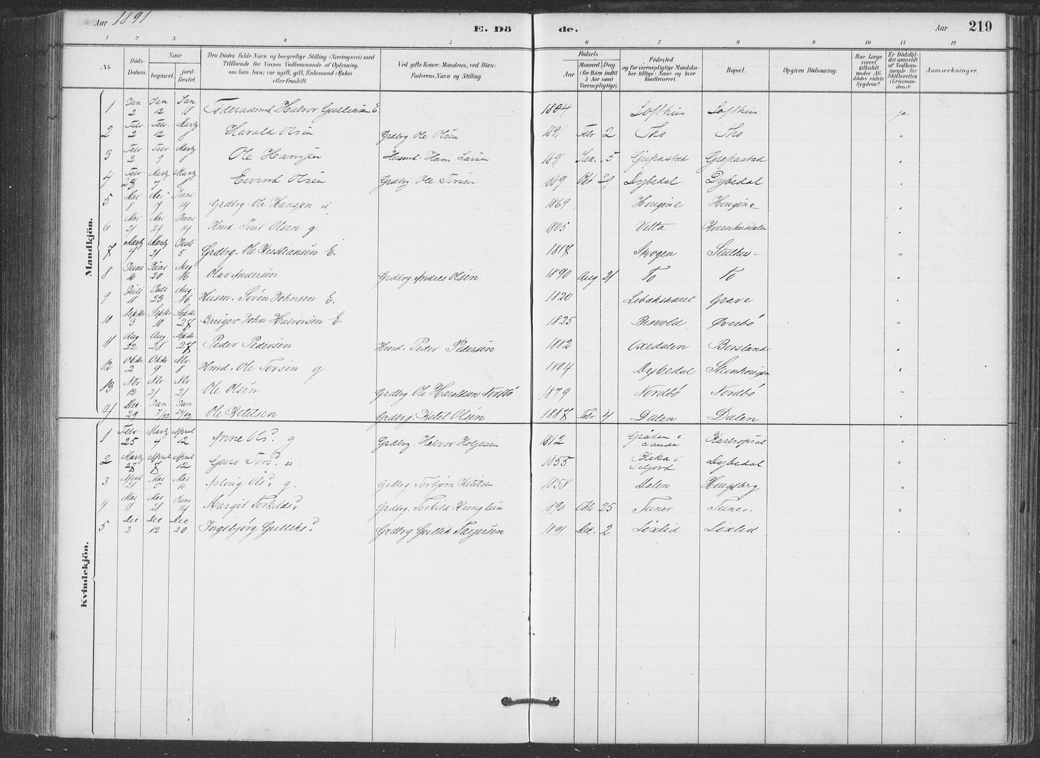 Hjartdal kirkebøker, SAKO/A-270/F/Fa/L0010: Parish register (official) no. I 10, 1880-1929, p. 219