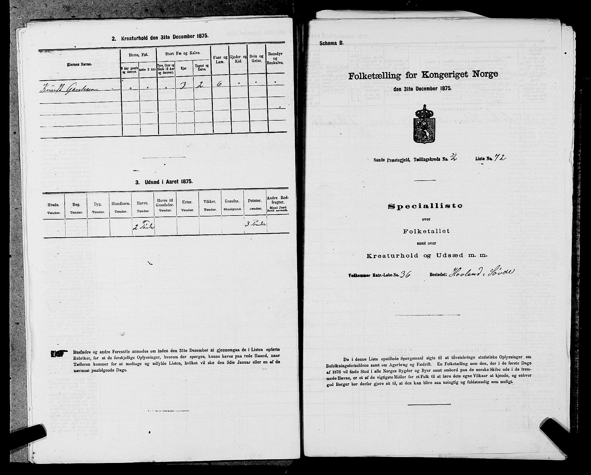 SAST, 1875 census for 1136P Sand, 1875, p. 993