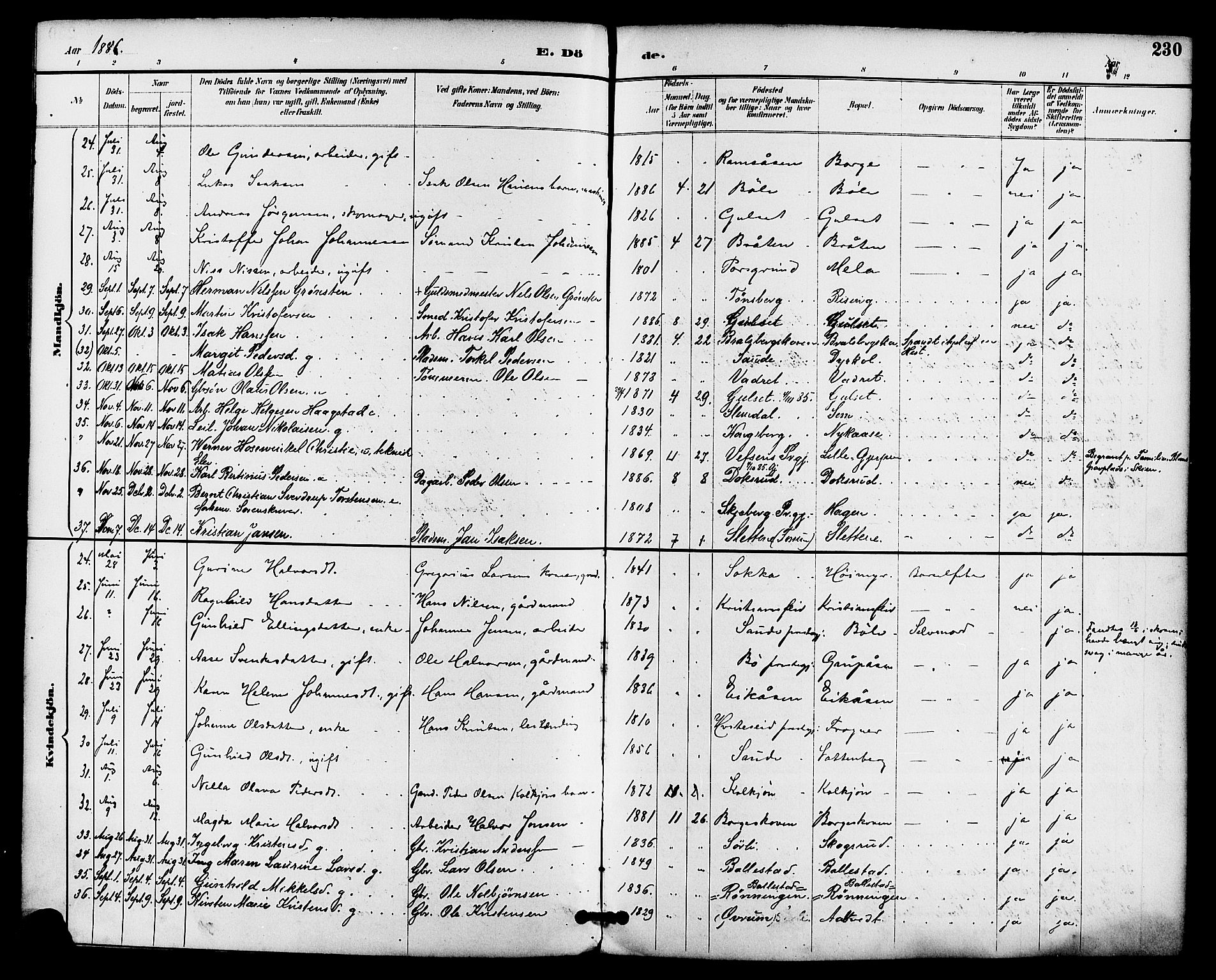 Gjerpen kirkebøker, AV/SAKO-A-265/F/Fa/L0010: Parish register (official) no. I 10, 1886-1895, p. 230