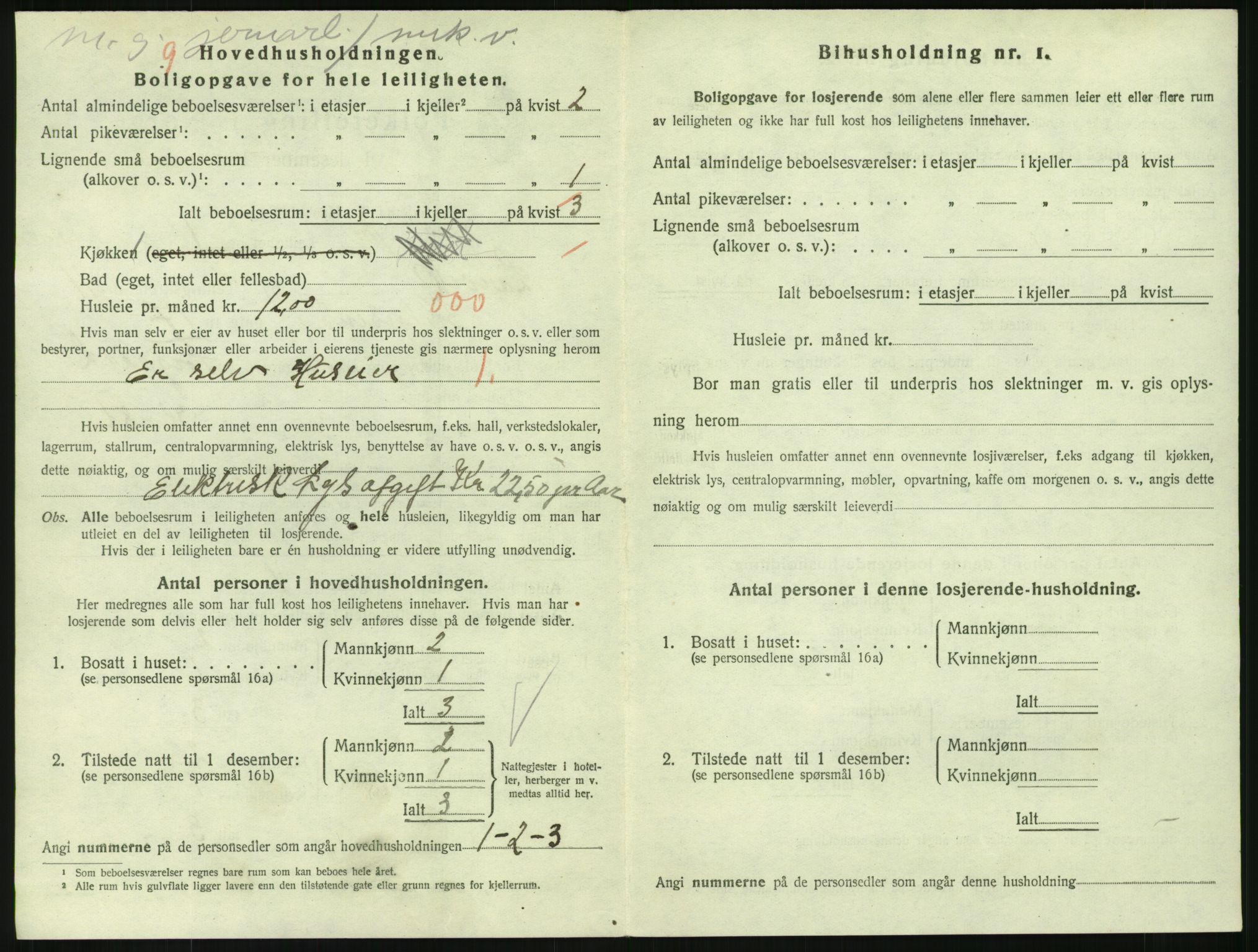 SAKO, 1920 census for Larvik, 1920, p. 8339