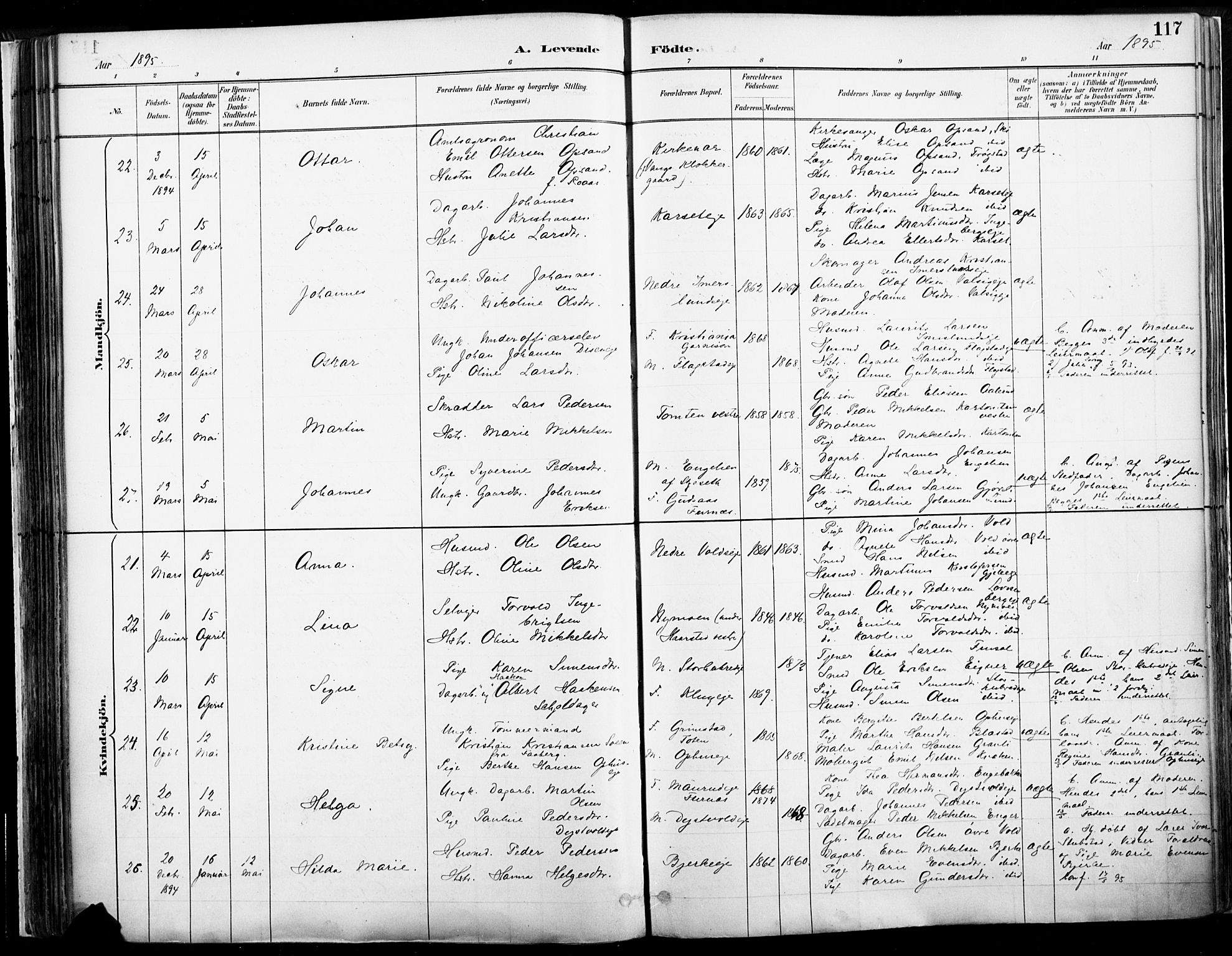 Vang prestekontor, Hedmark, AV/SAH-PREST-008/H/Ha/Haa/L0019A: Parish register (official) no. 19, 1886-1900, p. 117