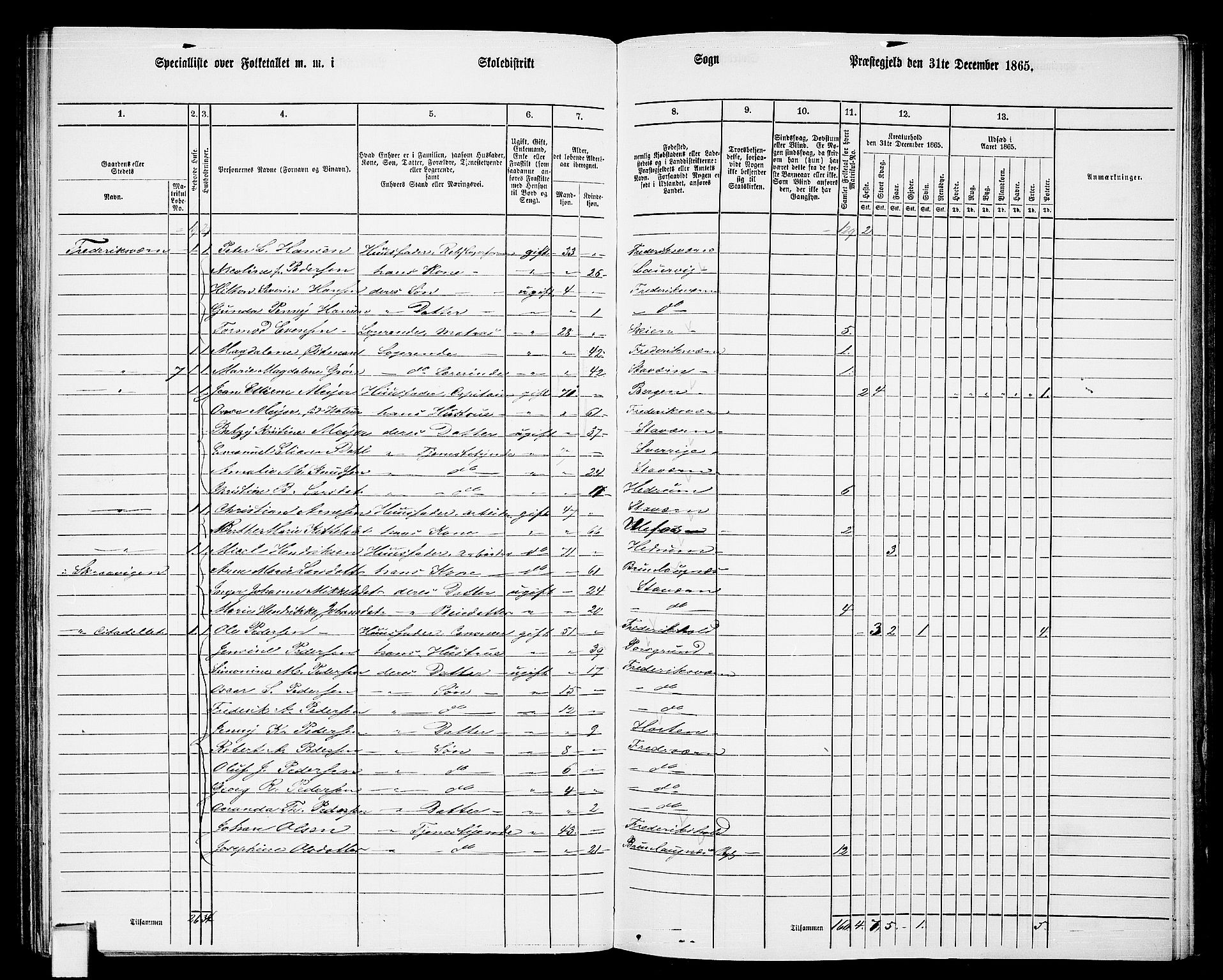 RA, 1865 census for Fredriksvern, 1865, p. 14