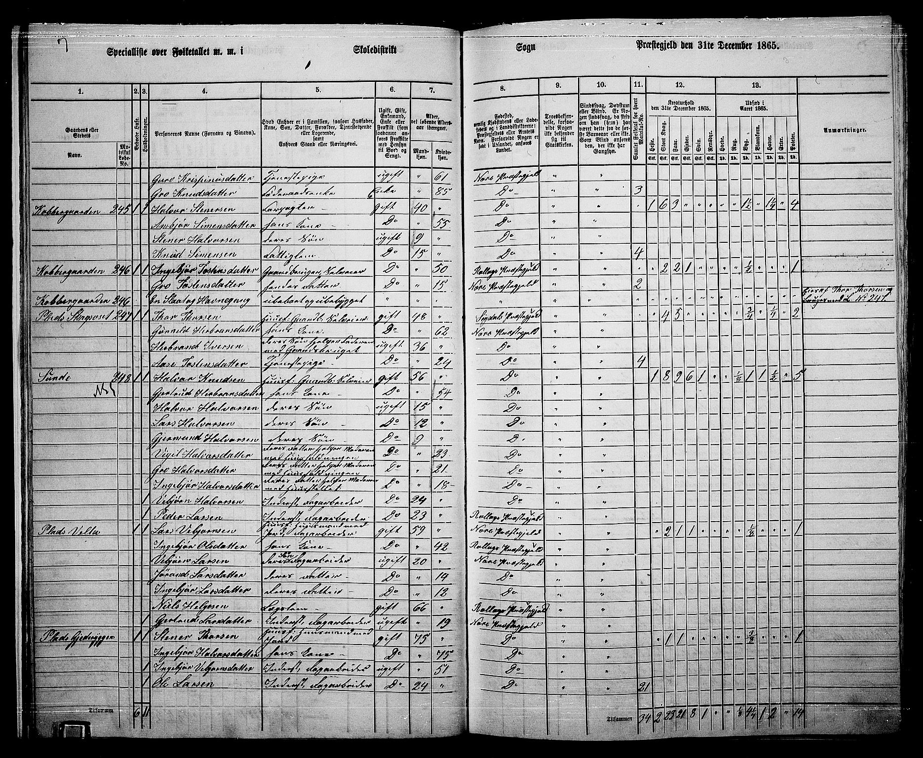 RA, 1865 census for Nore, 1865, p. 19