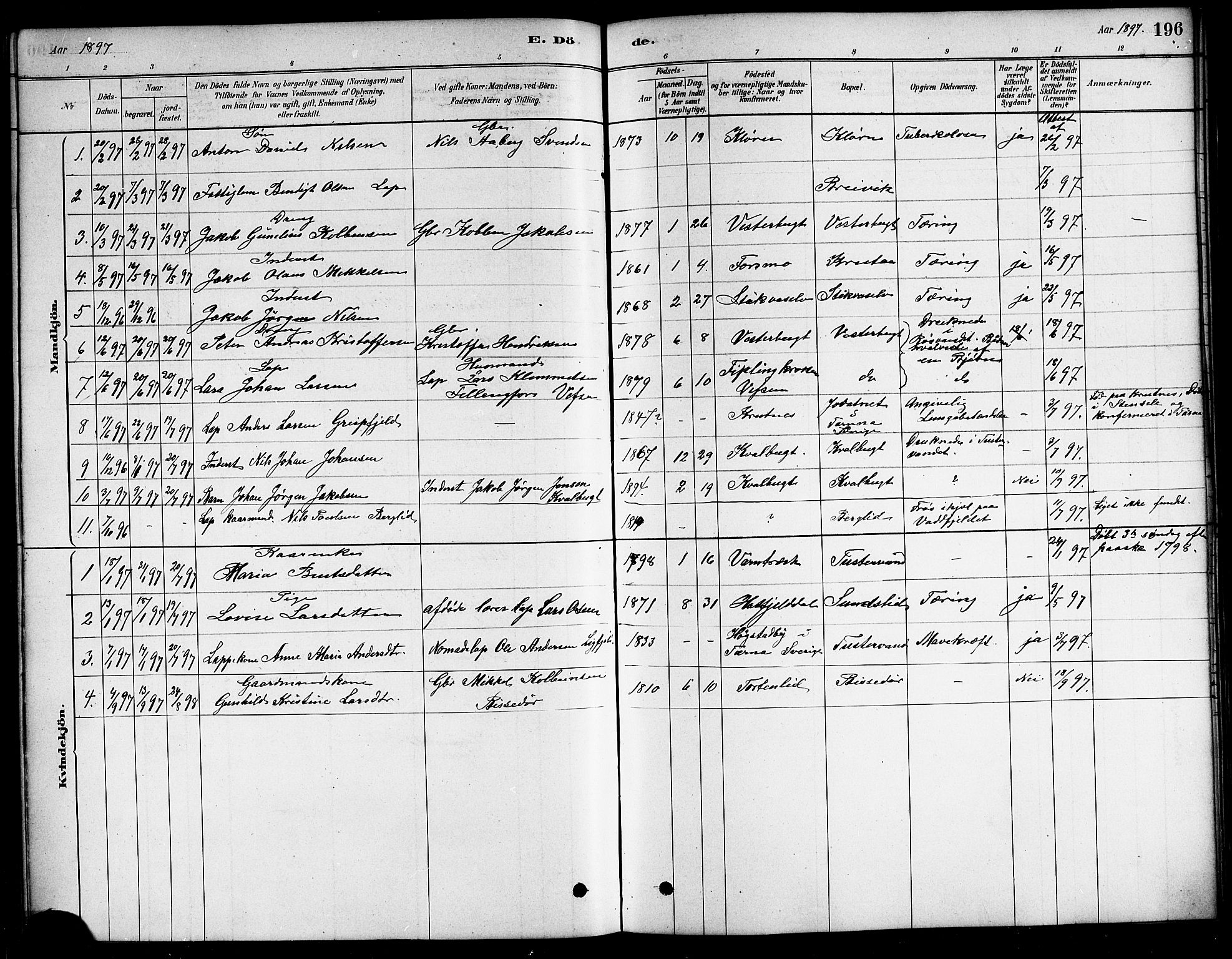 Ministerialprotokoller, klokkerbøker og fødselsregistre - Nordland, SAT/A-1459/823/L0330: Parish register (copy) no. 823C02, 1879-1916, p. 196