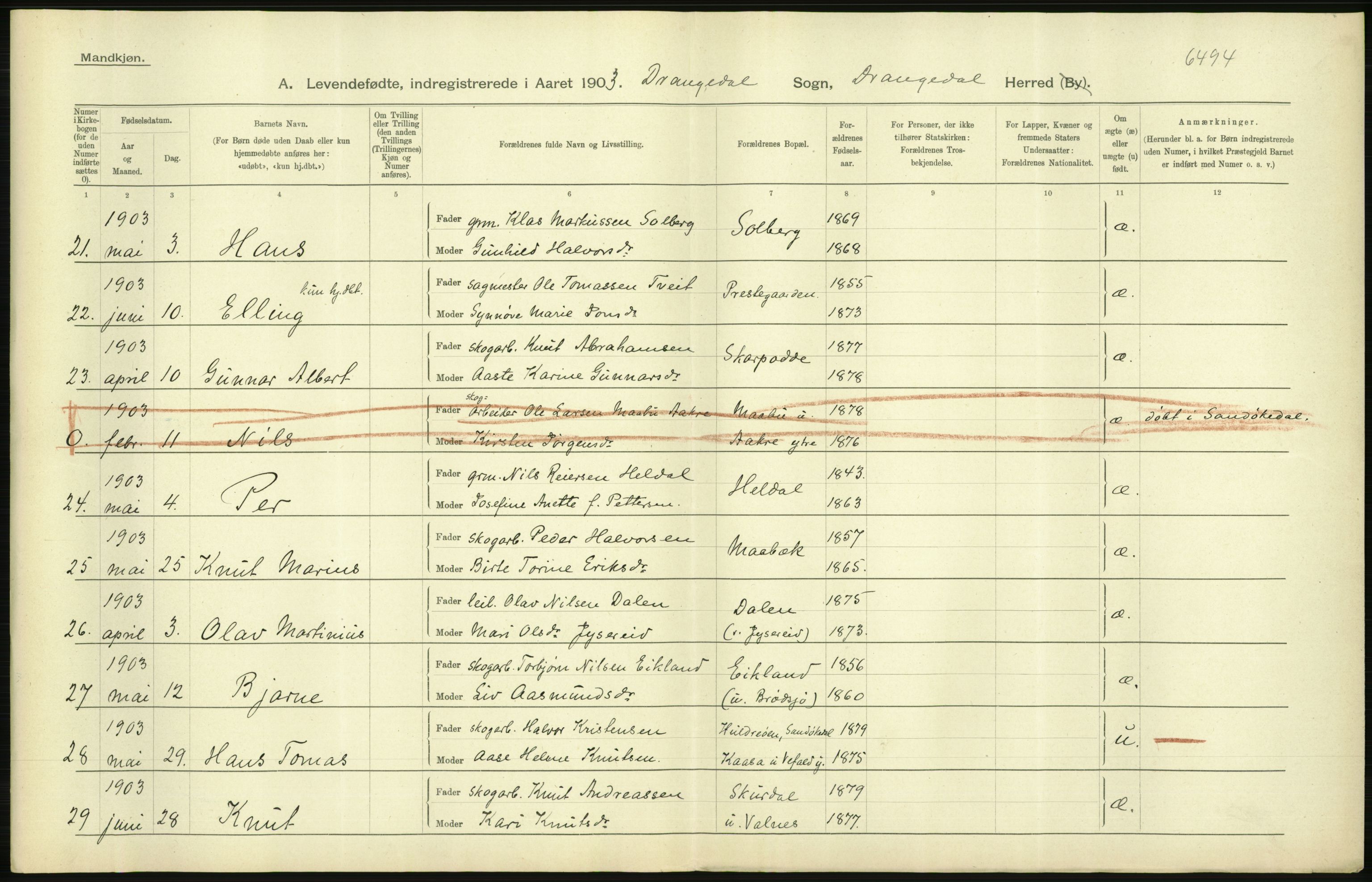 Statistisk sentralbyrå, Sosiodemografiske emner, Befolkning, AV/RA-S-2228/D/Df/Dfa/Dfaa/L0009: Bratsberg amt: Fødte, gifte, døde, 1903, p. 262