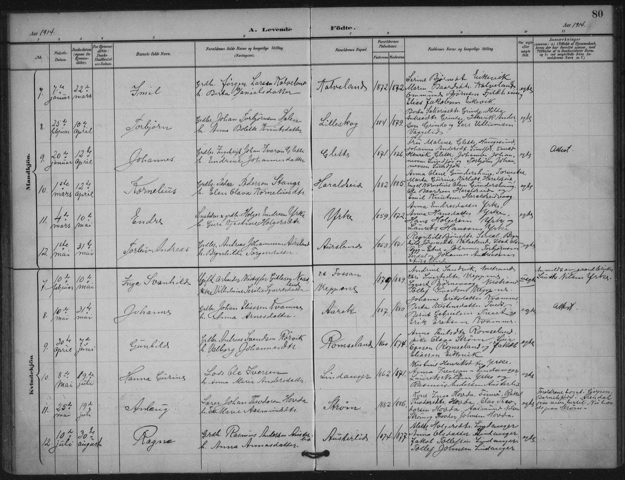 Skjold sokneprestkontor, AV/SAST-A-101847/H/Ha/Haa/L0011: Parish register (official) no. A 11, 1897-1914, p. 80