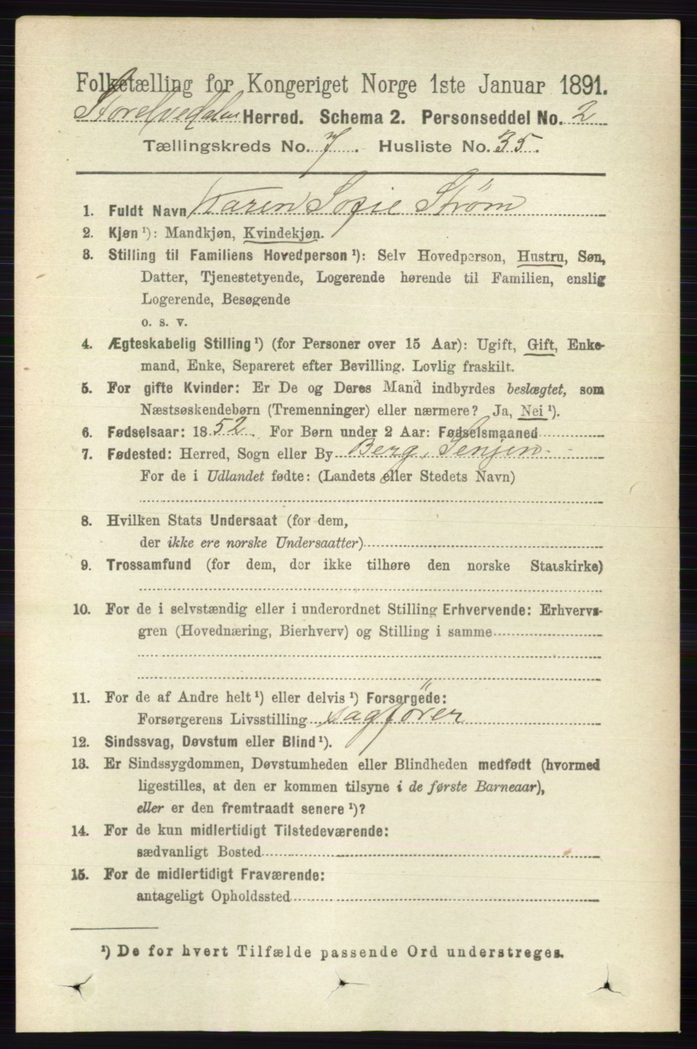 RA, 1891 census for 0430 Stor-Elvdal, 1891, p. 2931