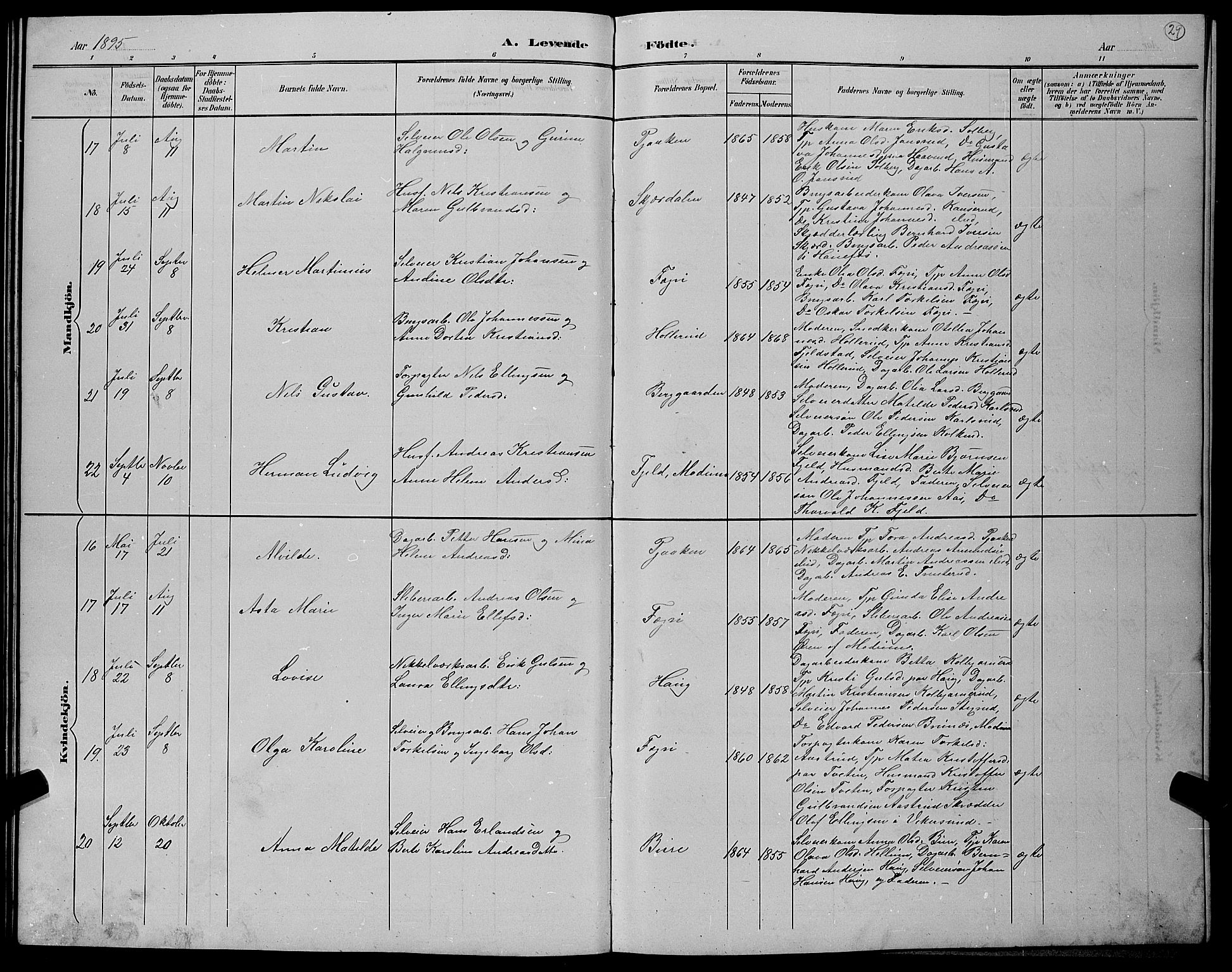 Hole kirkebøker, SAKO/A-228/G/Gb/L0003: Parish register (copy) no. II 3, 1890-1901, p. 29