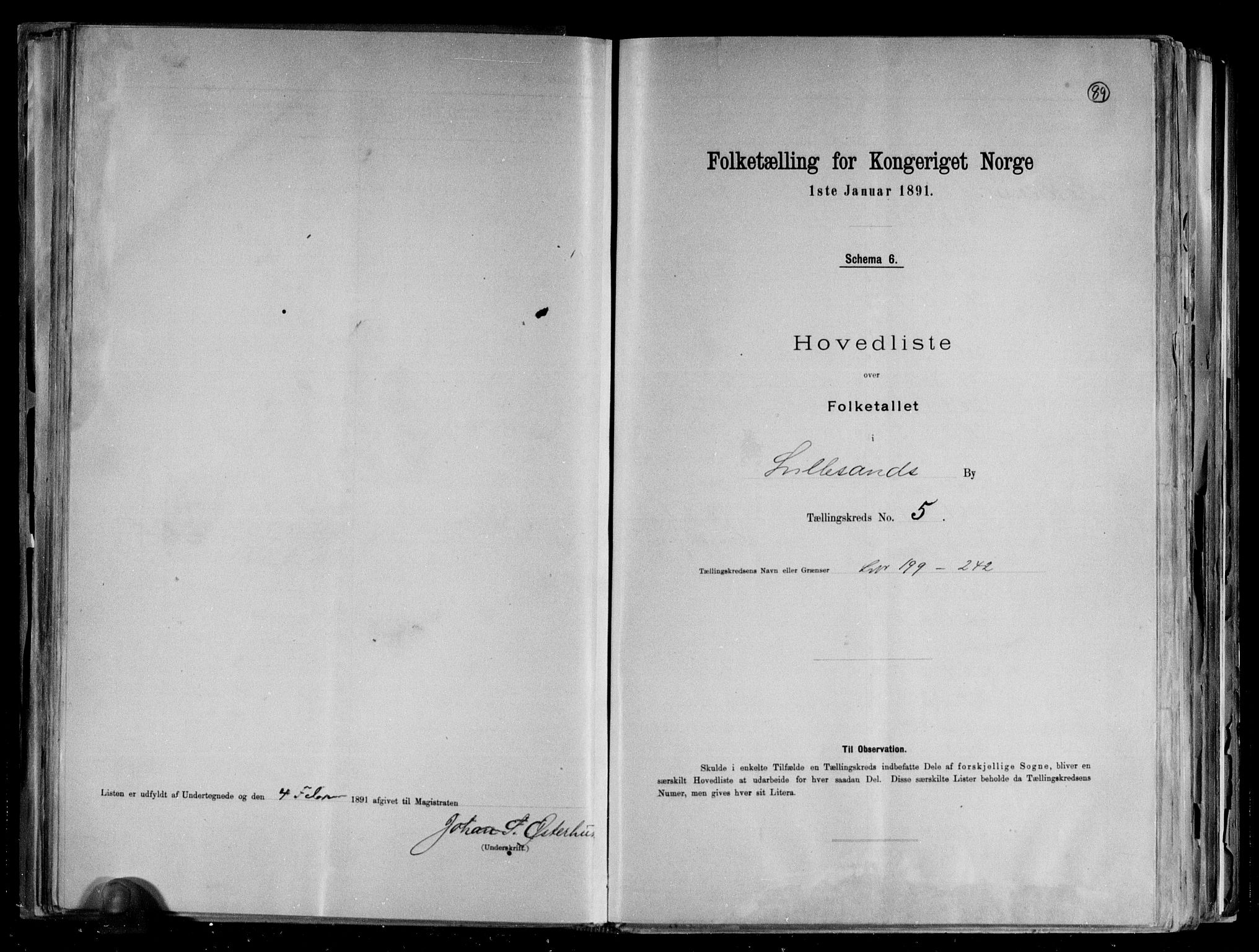 RA, 1891 census for 0905 Lillesand, 1891, p. 13